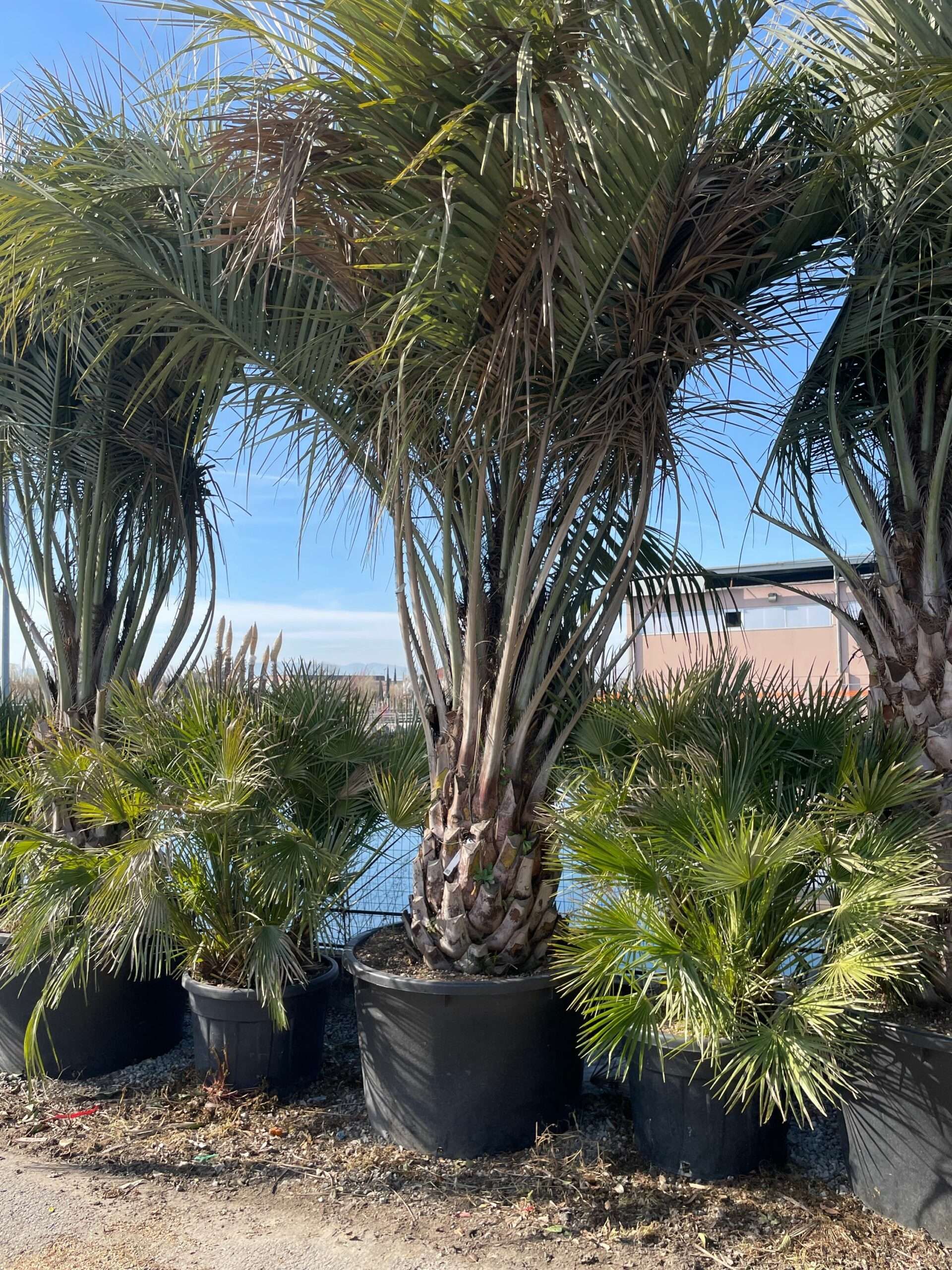 1643886374 scaled 3b900eea