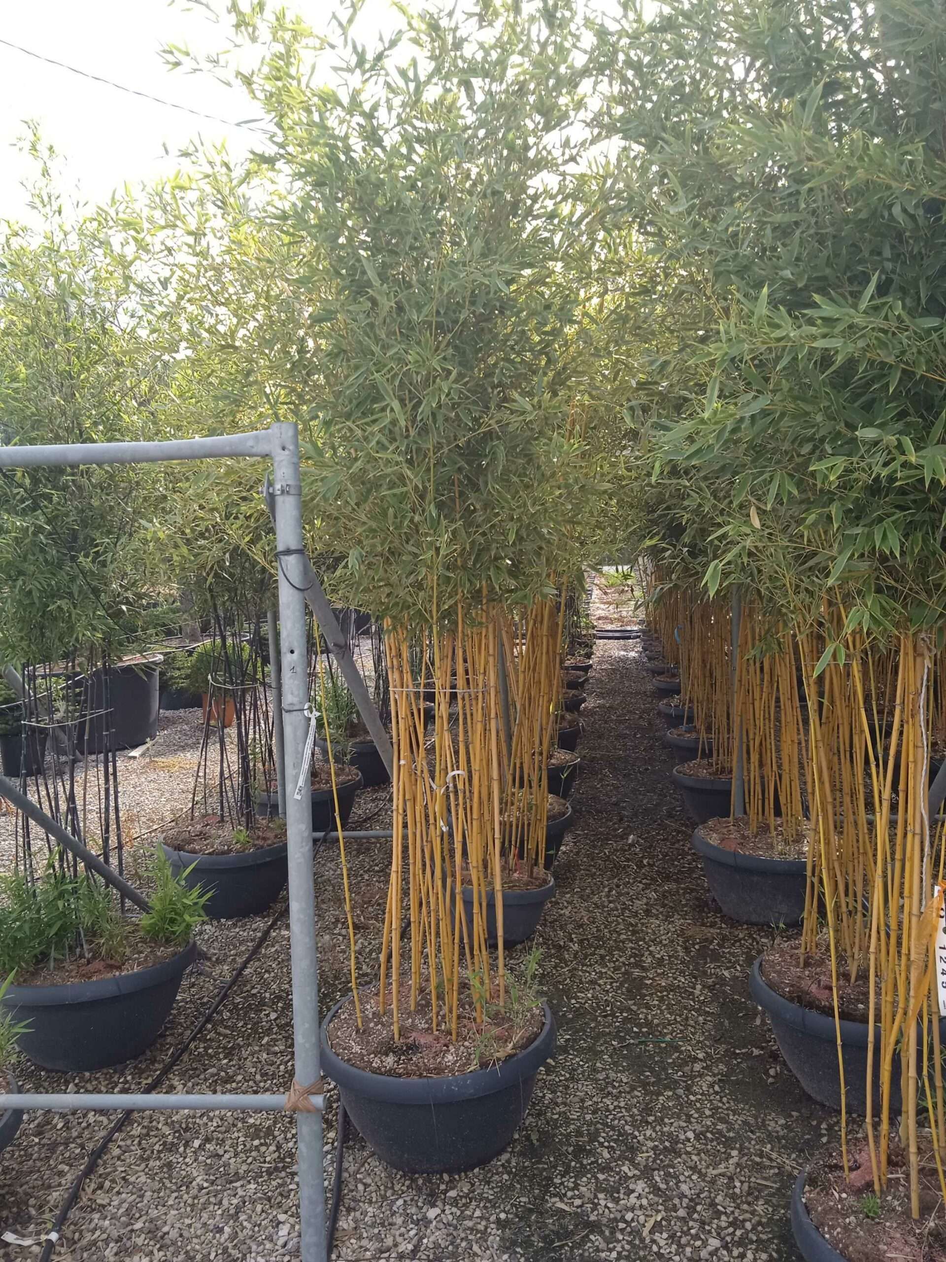 1662018119 scaled 3becf0e4