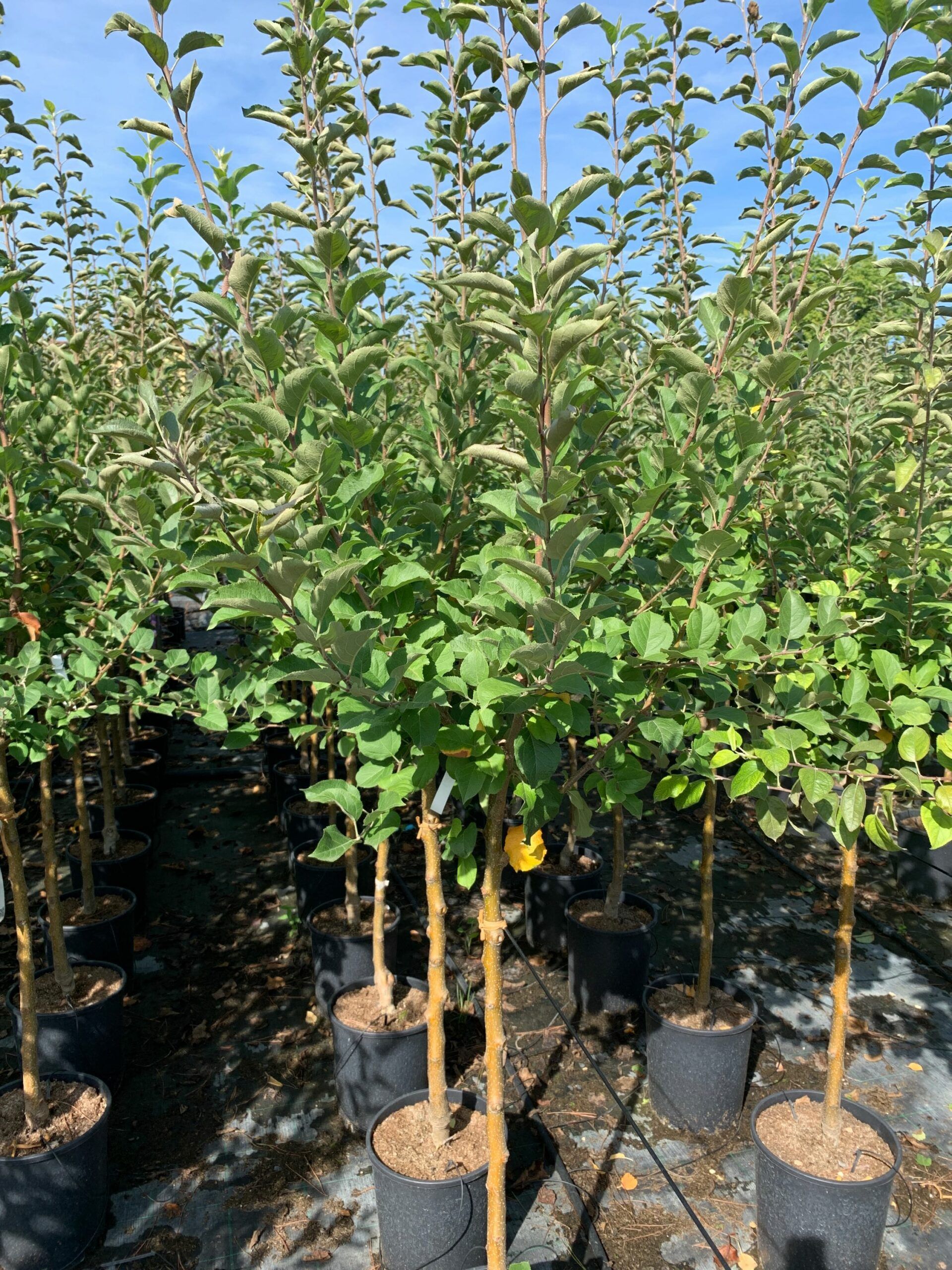 1662366786 scaled 3b1afc70