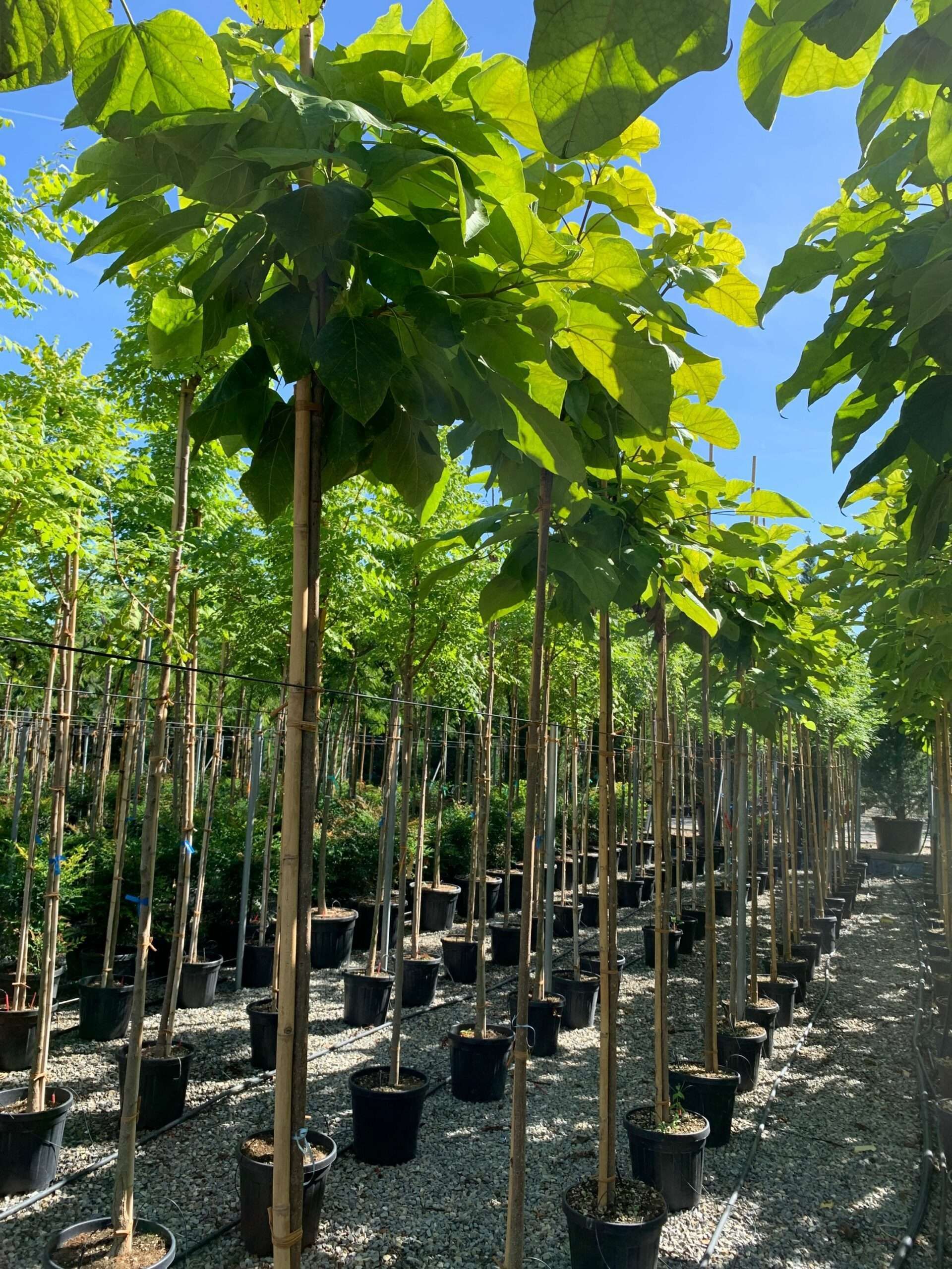 1662454620 scaled 3b5b3dd4