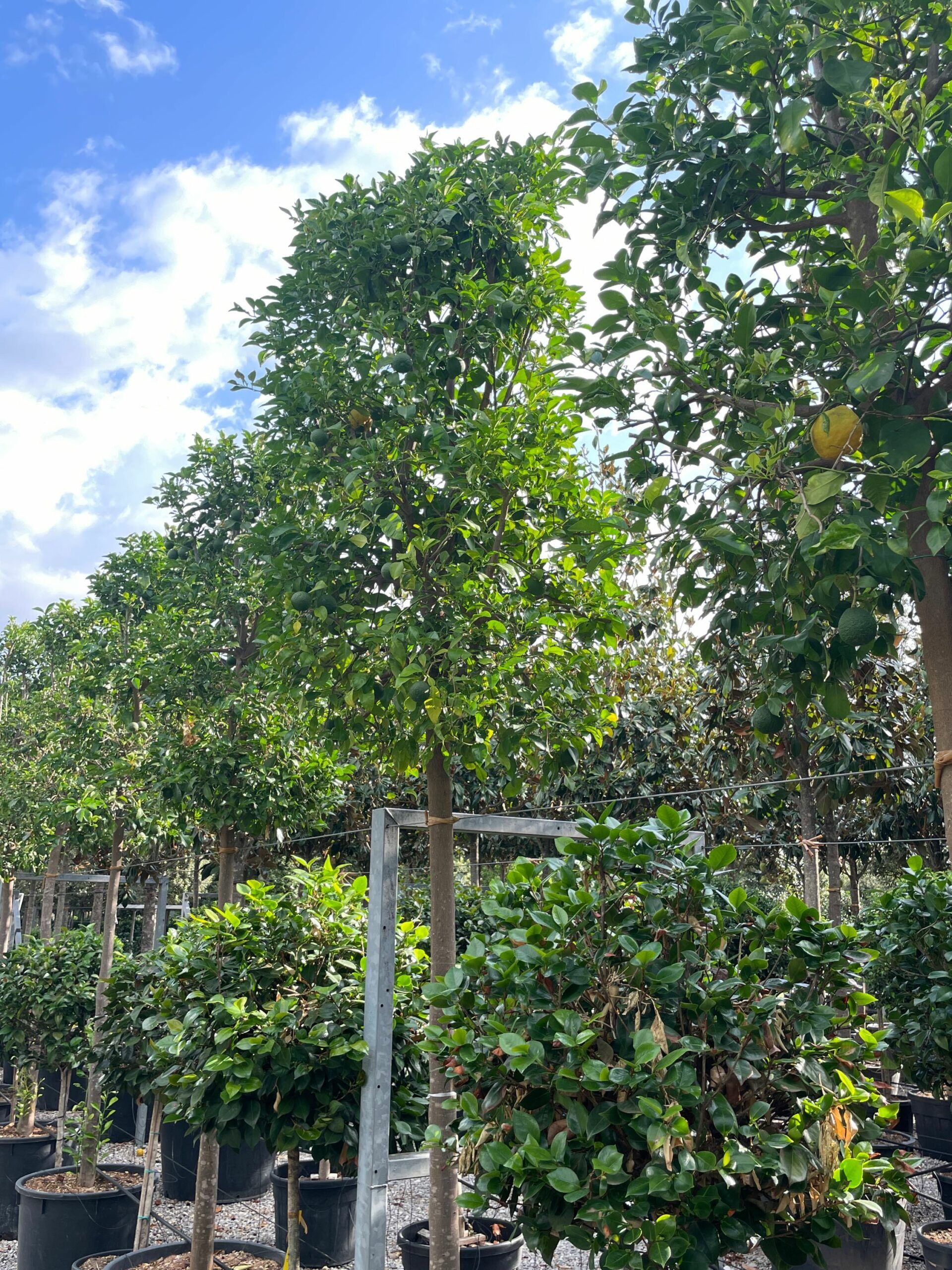 1662708760 scaled 3bea07d0