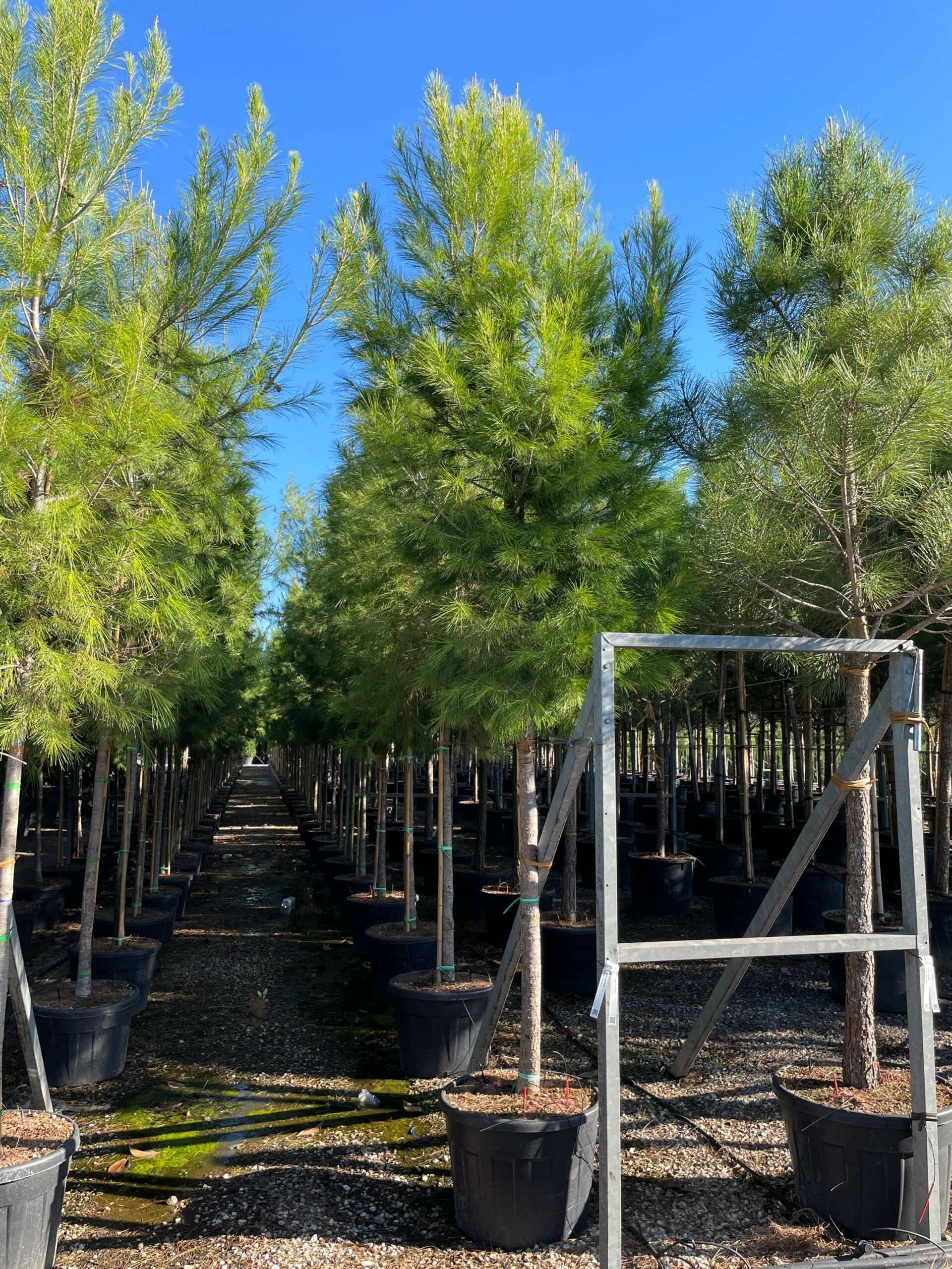 1663918366 scaled 3bd35aff