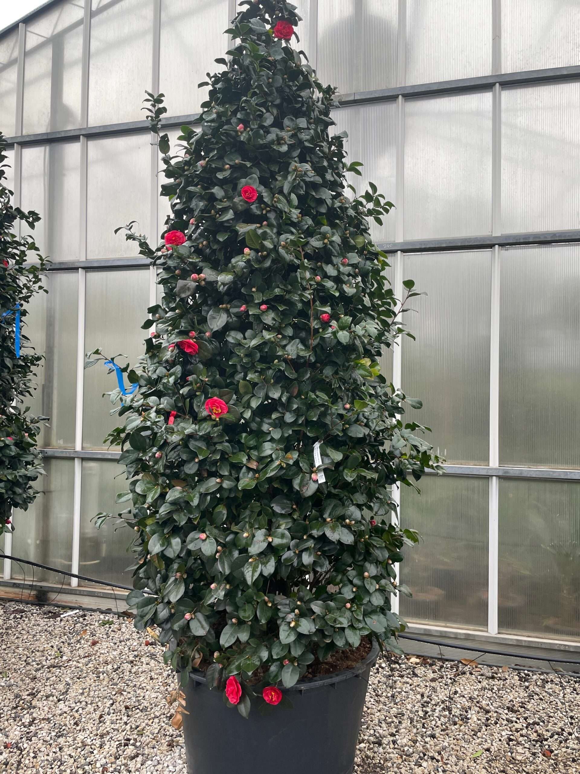 1677324084 scaled 3b720067