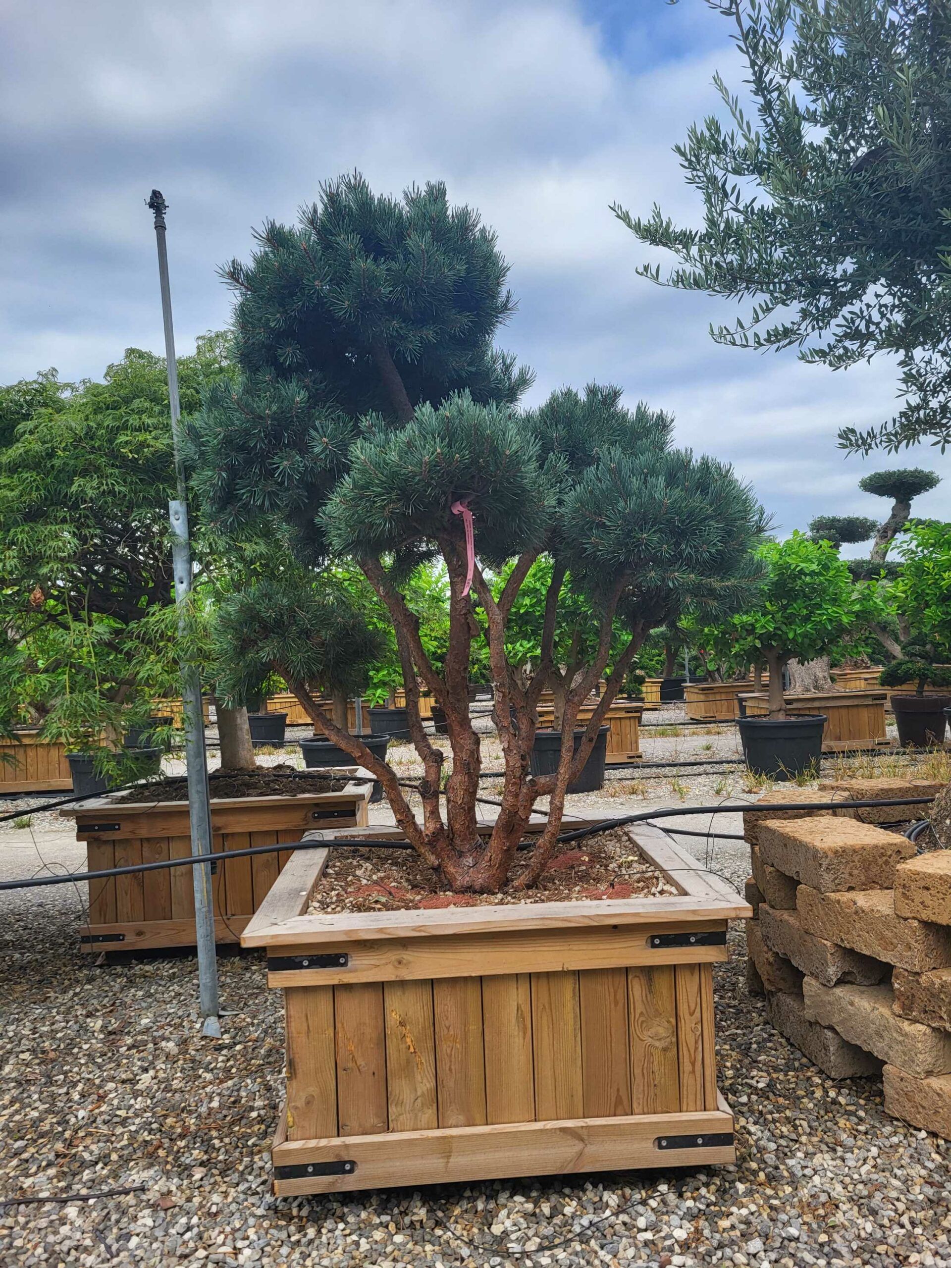 1691049845 scaled 3bf35f94