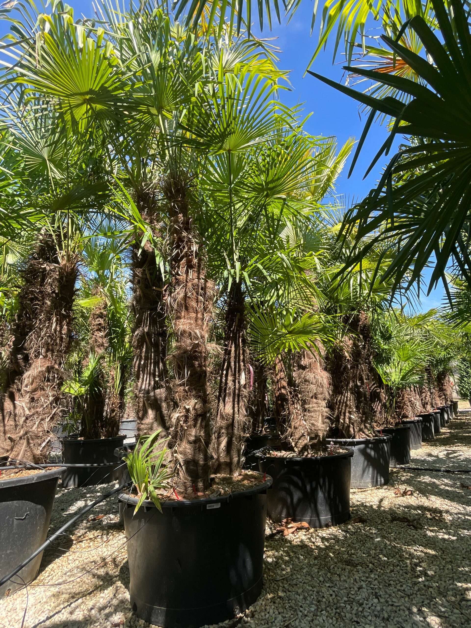 1691499914 scaled 3bb3bd4c