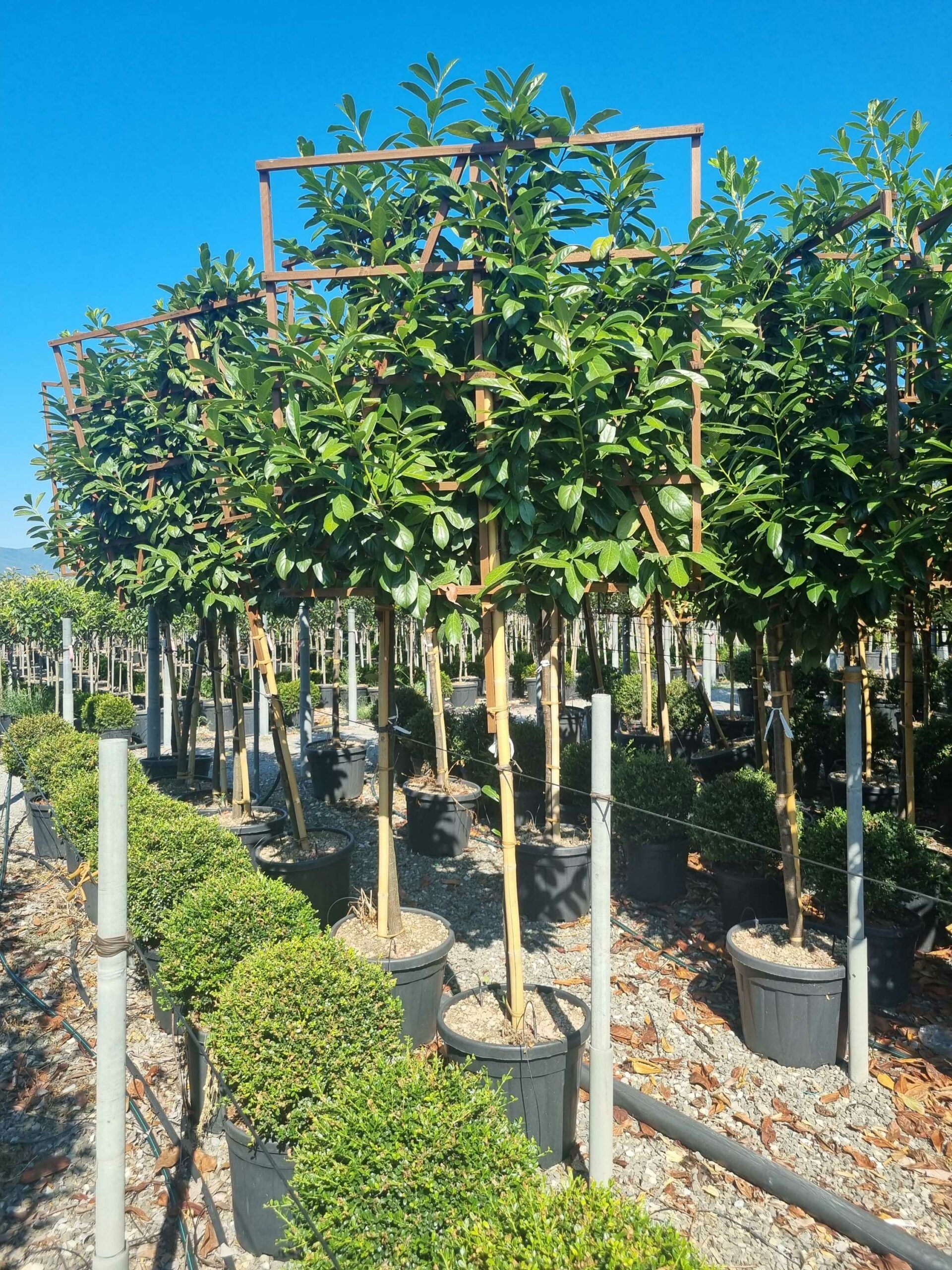 1692693036 scaled 3b17a401