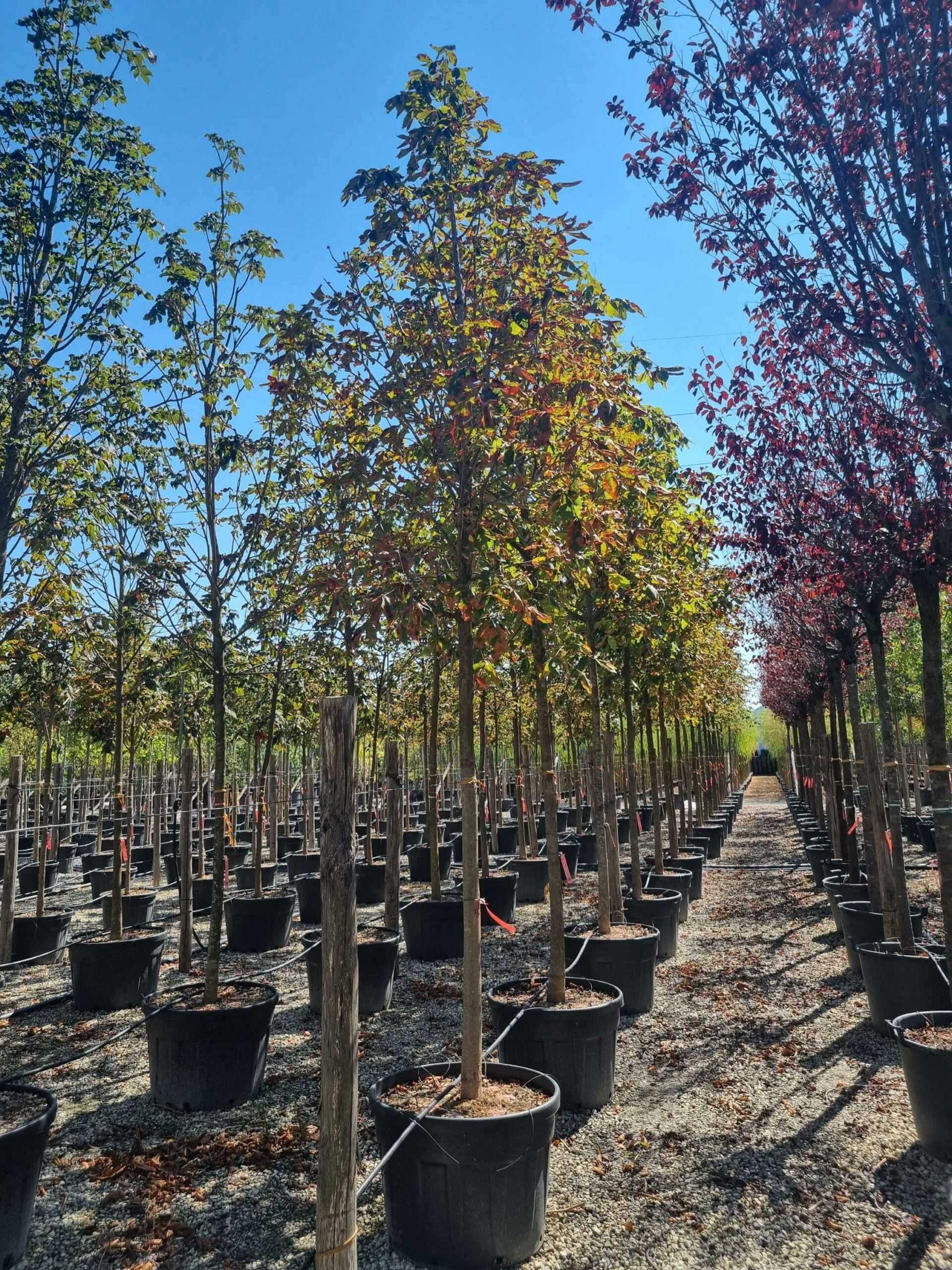 1692796709 scaled 3b6f17e3