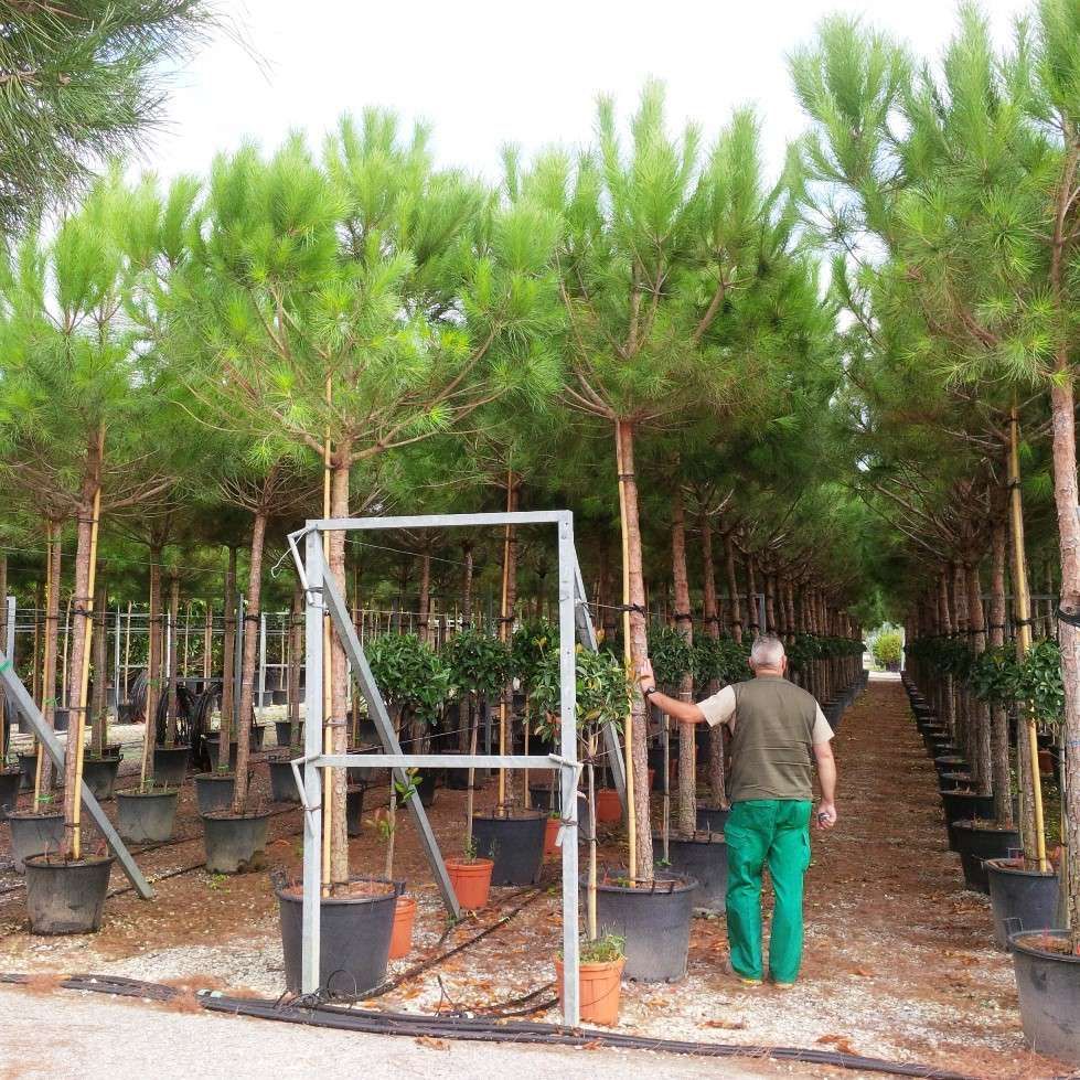 1611321686 300 350 3ca13fef