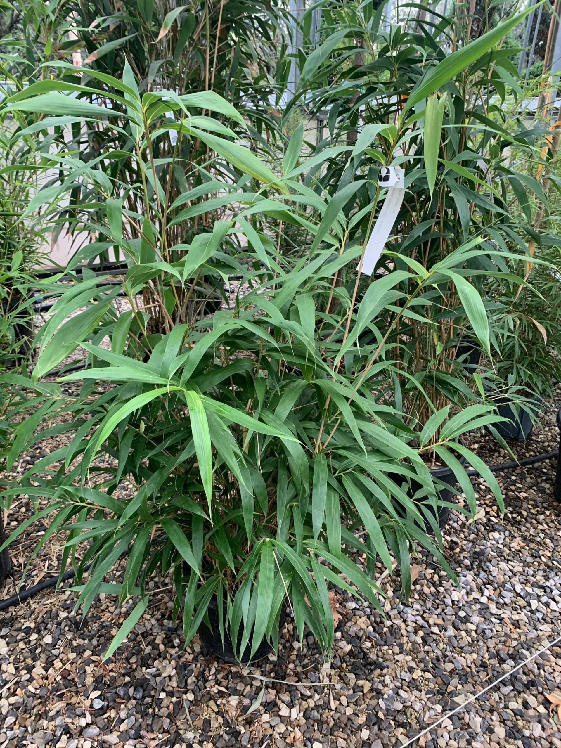 1633336218 scaled 3cee58f1