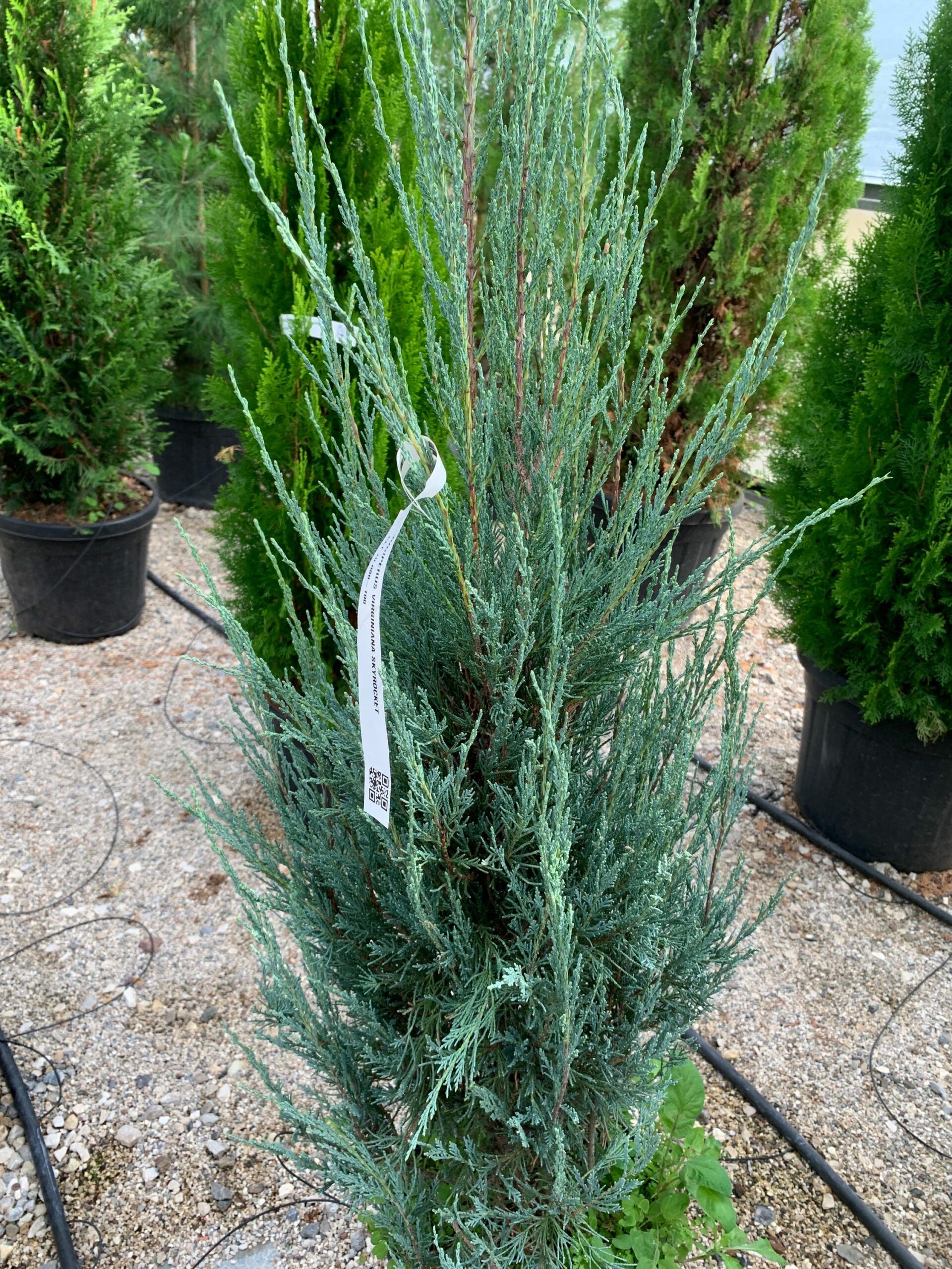 1636362528 scaled 3c80ea3d