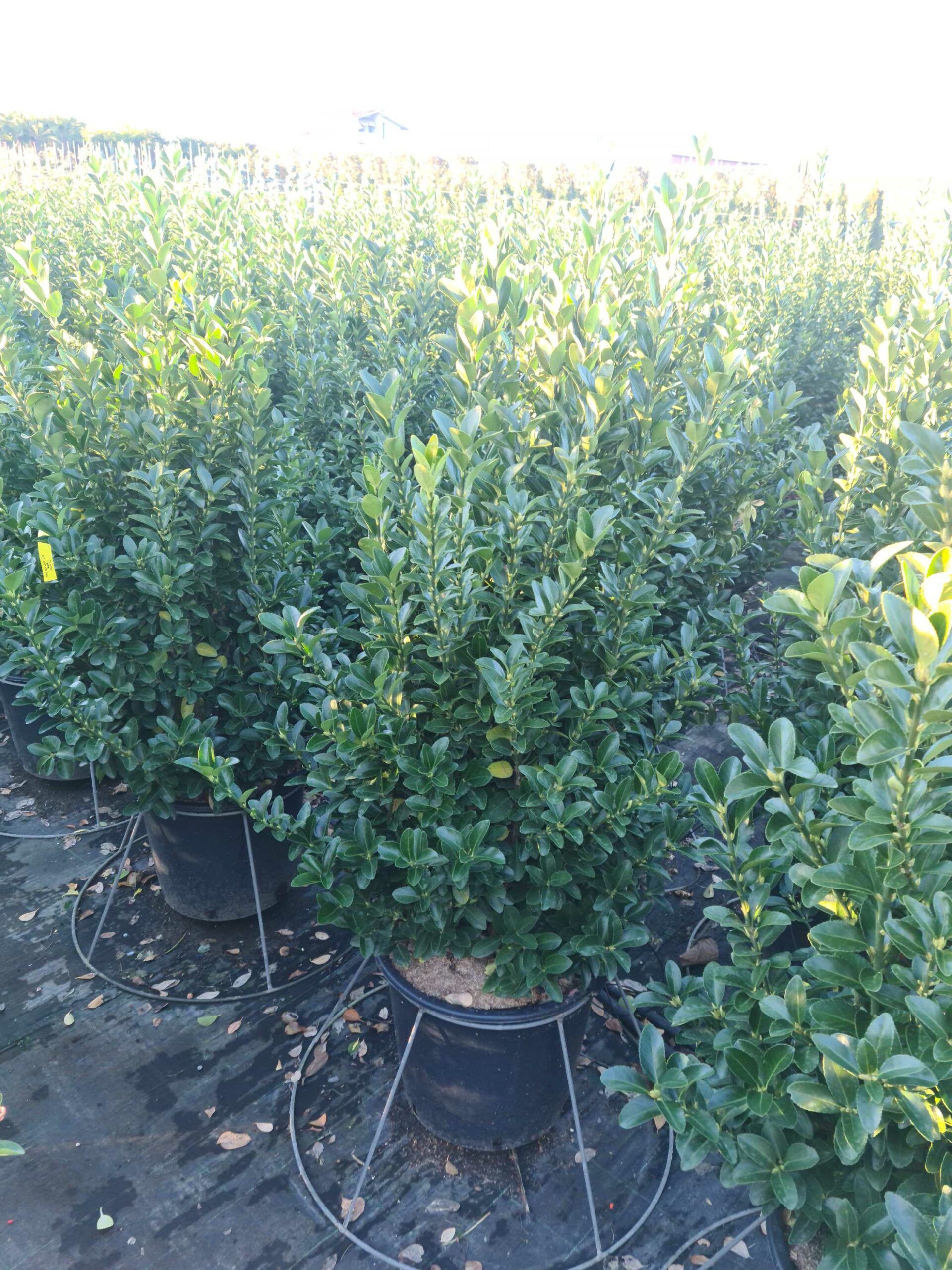 1639664912 scaled 3c2ae1fb