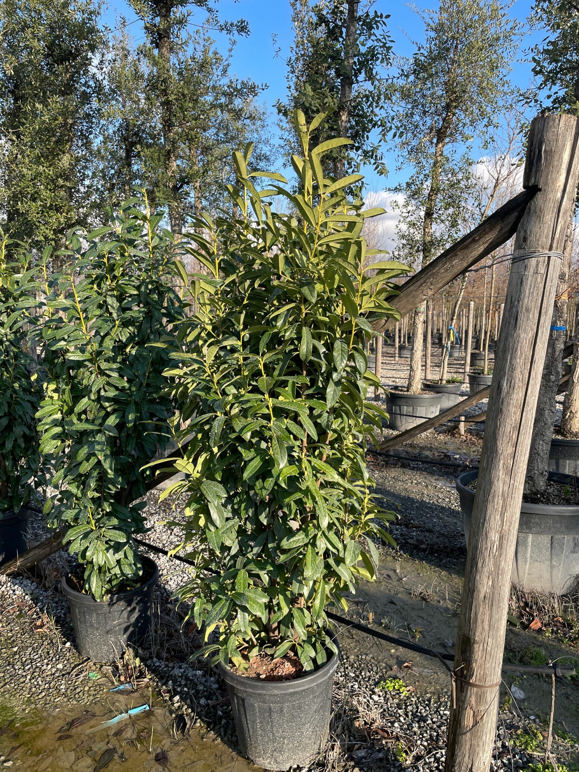 1642687357 scaled 3c97ea73