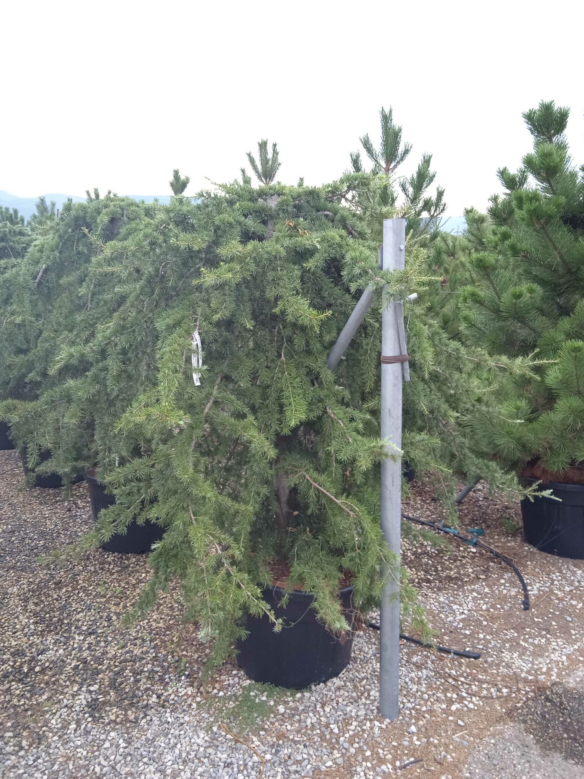 1662186808 scaled 3c214ca6