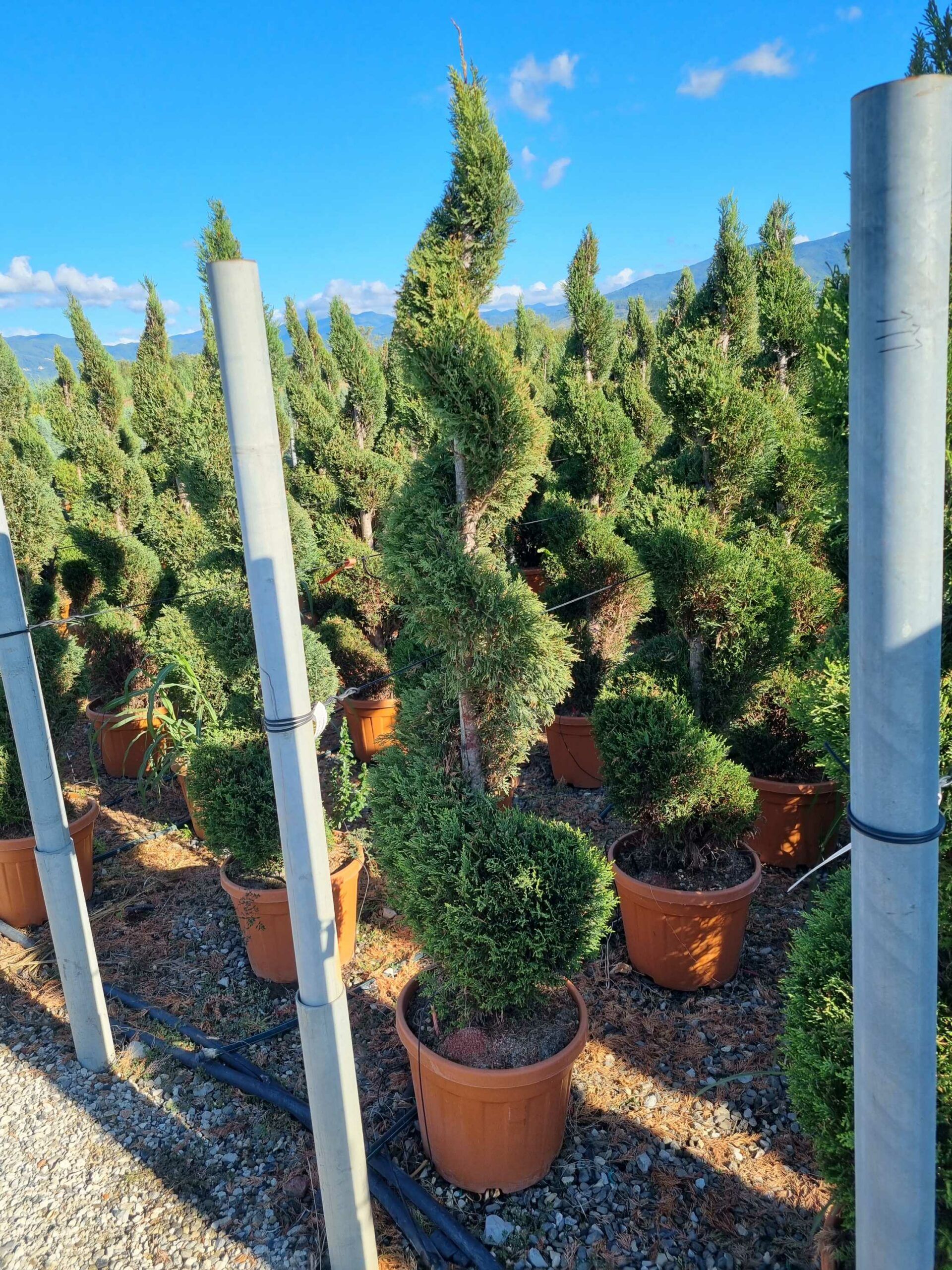 1663745568 scaled 3cebf5cb