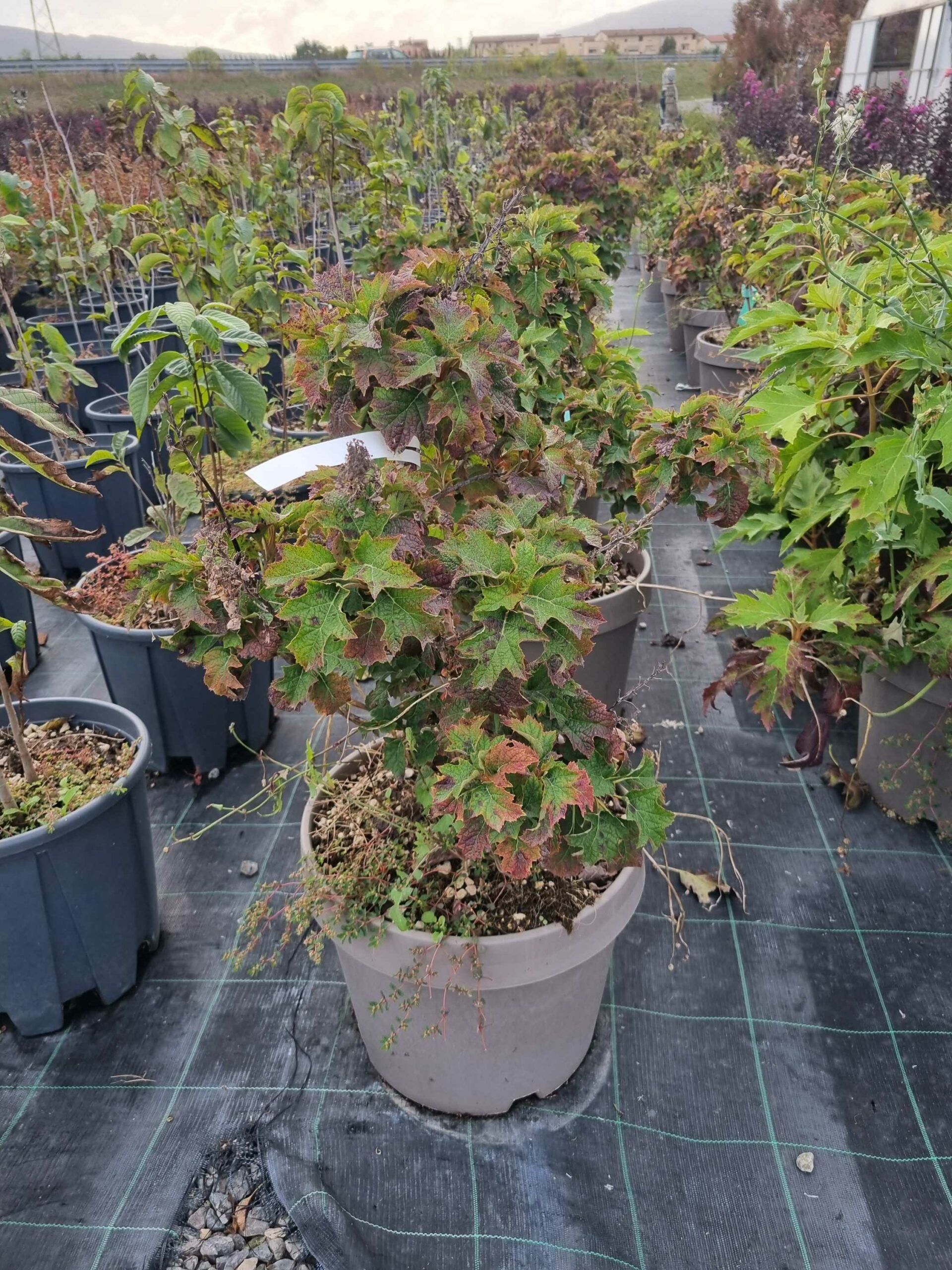 1664466121 scaled 3c851270