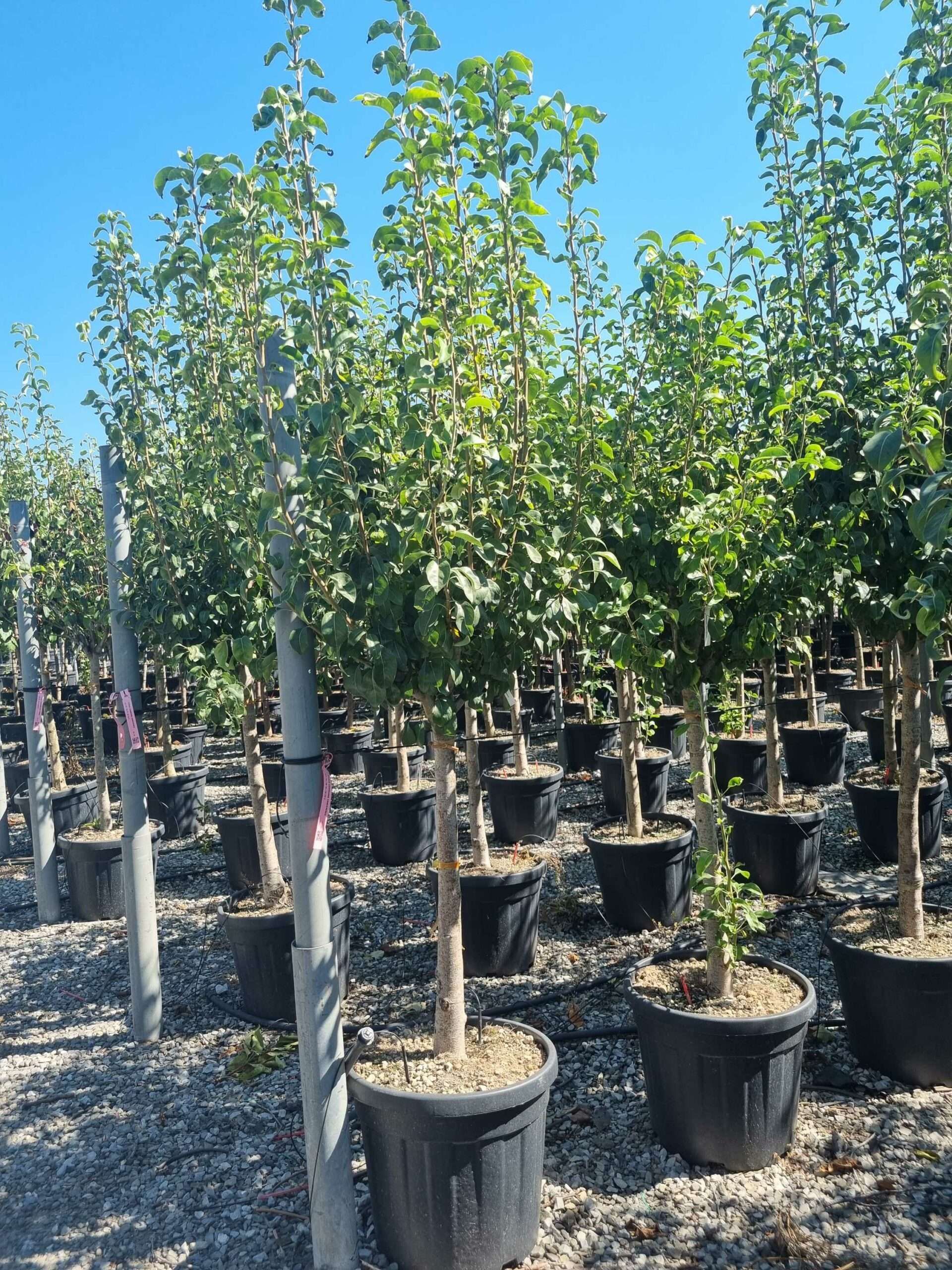 1692694342 scaled 3cc4871b