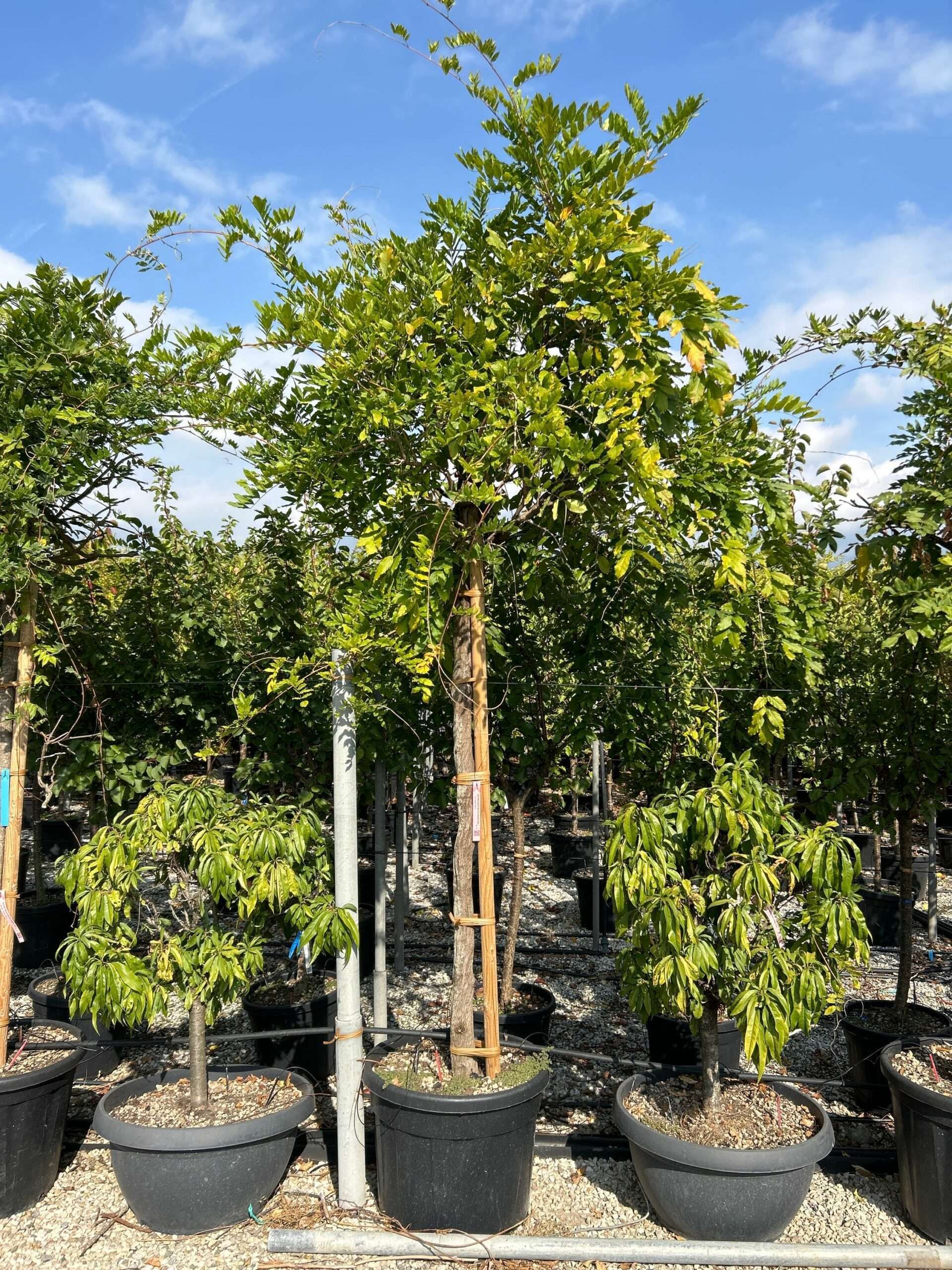 1697193084 scaled 3c836c91