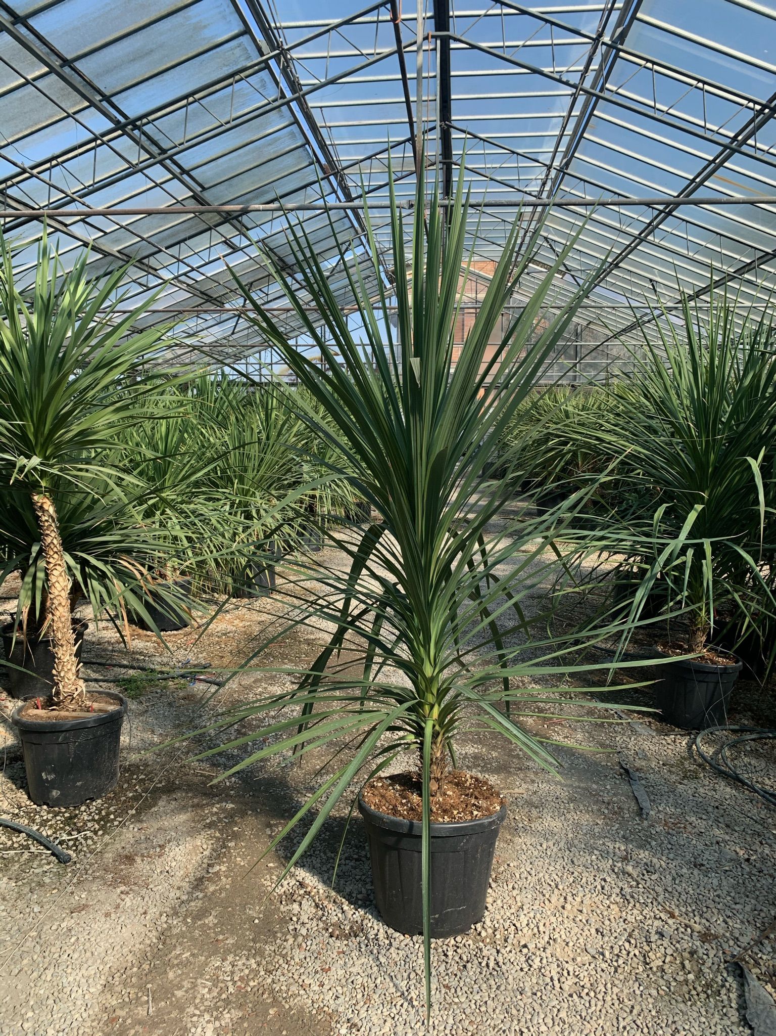 1617032994 0134f9c3044658a8a5f3f495c9f6d82abaffd4325c 3d5df8ca