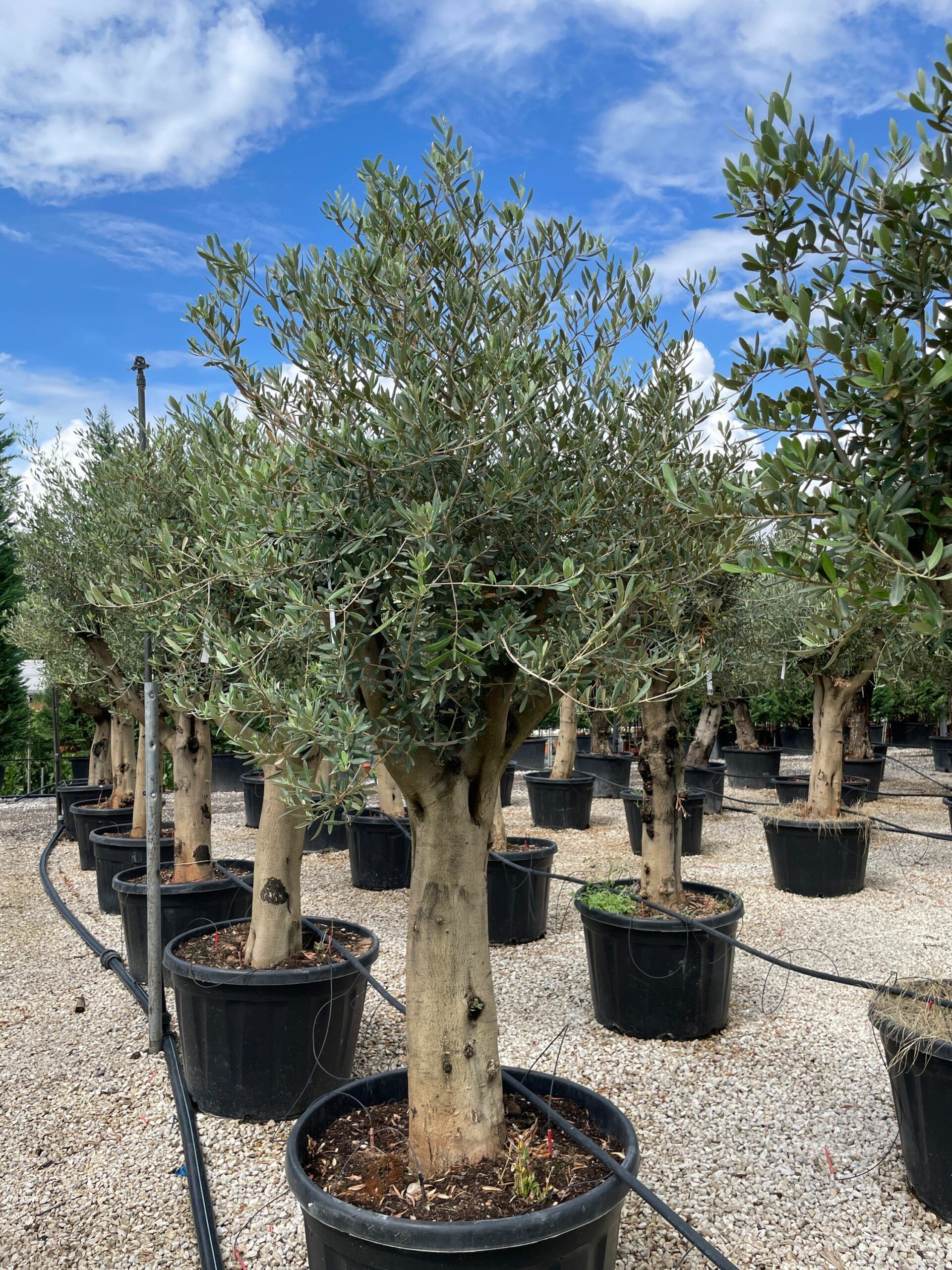 1631960510 scaled 3de25287