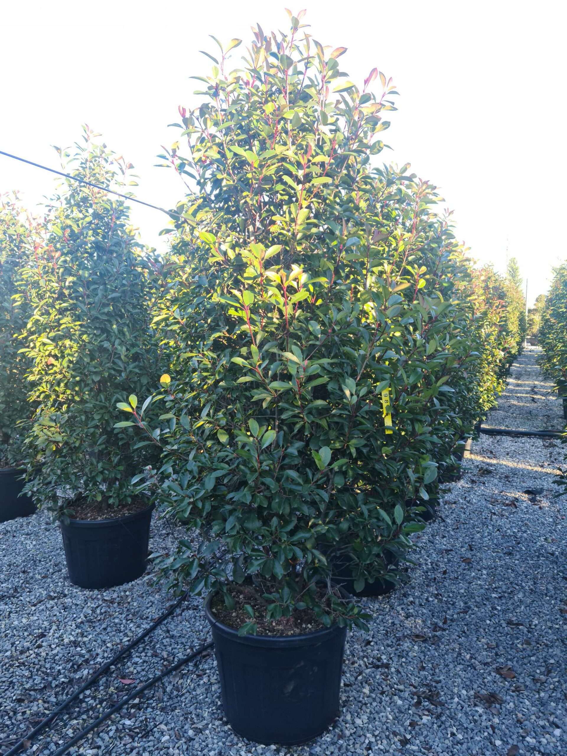 1639662947 scaled 3d45746c