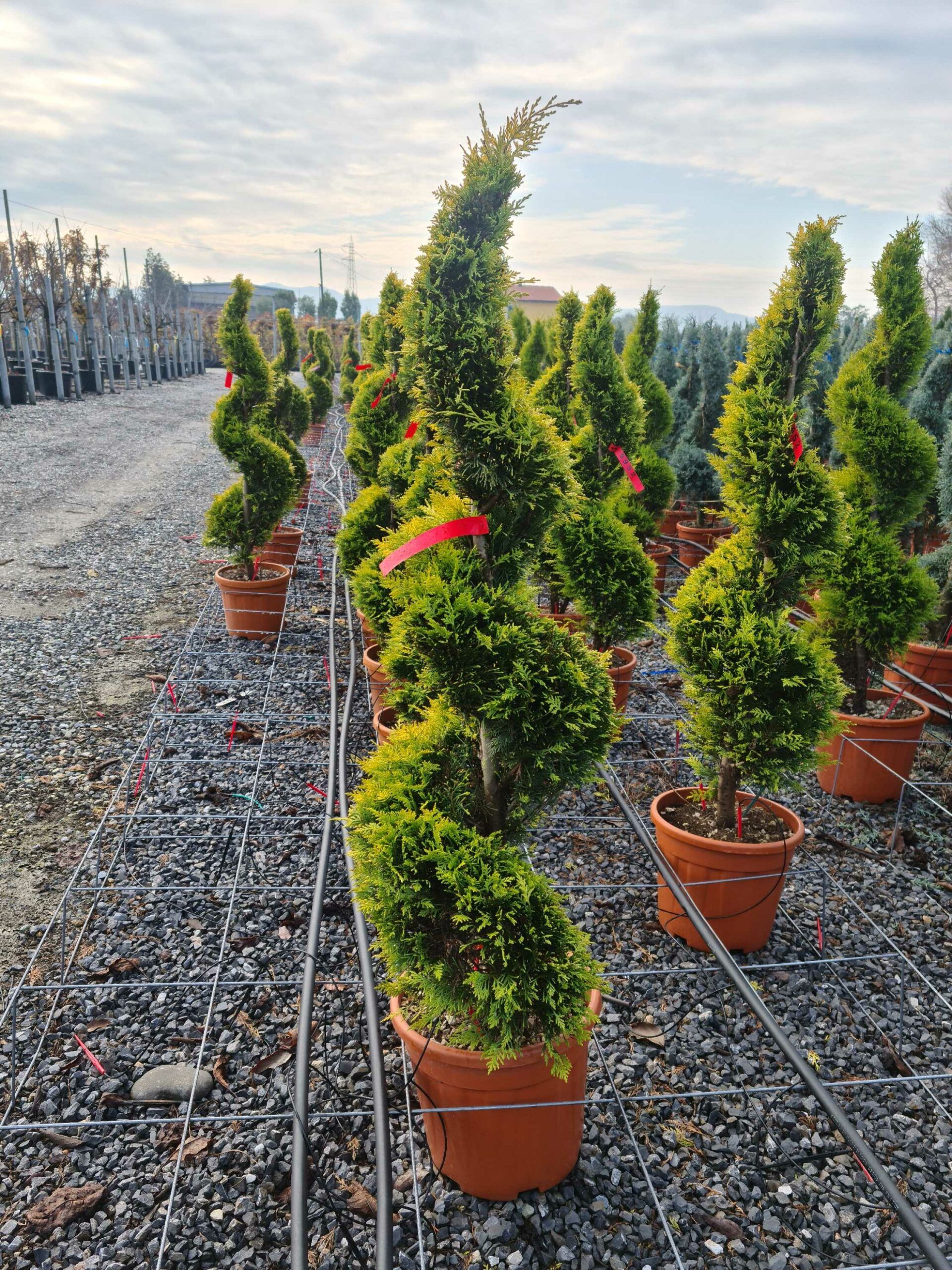 1640165135 scaled 3deecbab