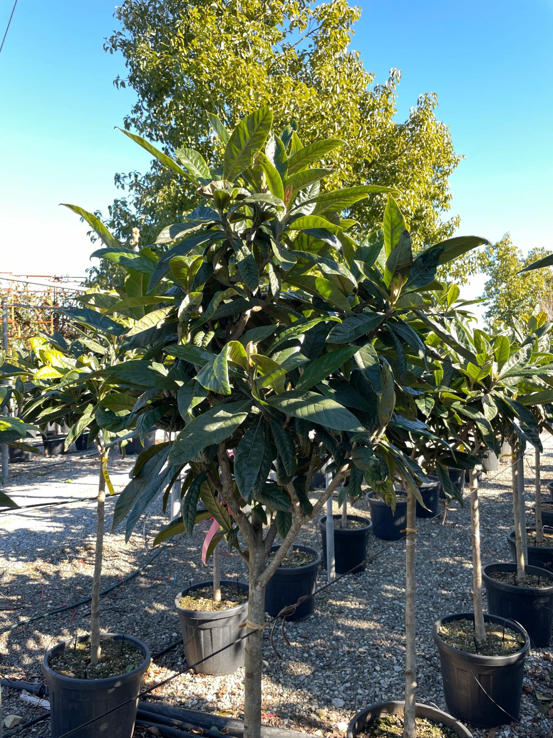 1643714365 scaled 3d171de0