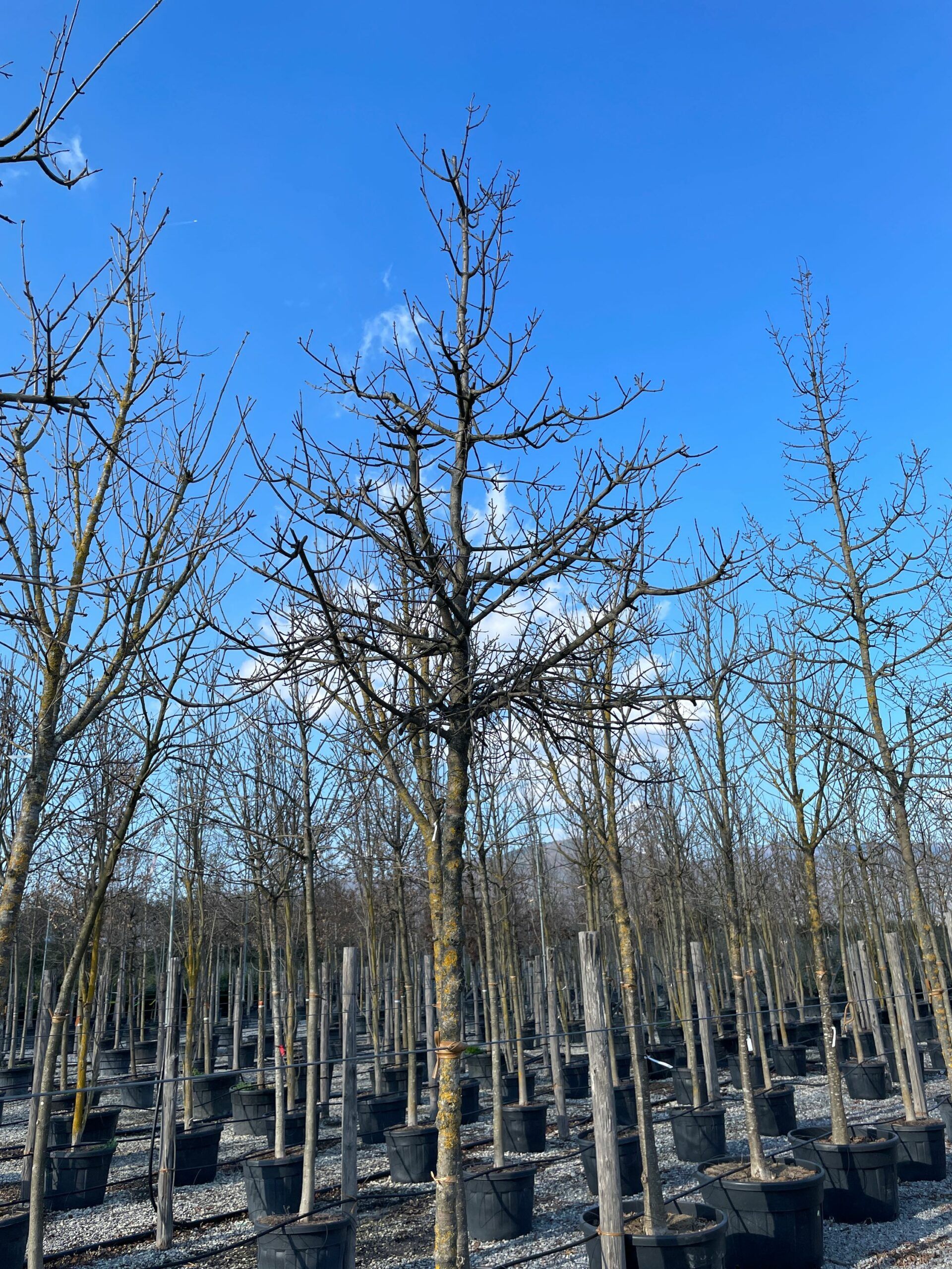 1644241681 scaled 3d310cd1