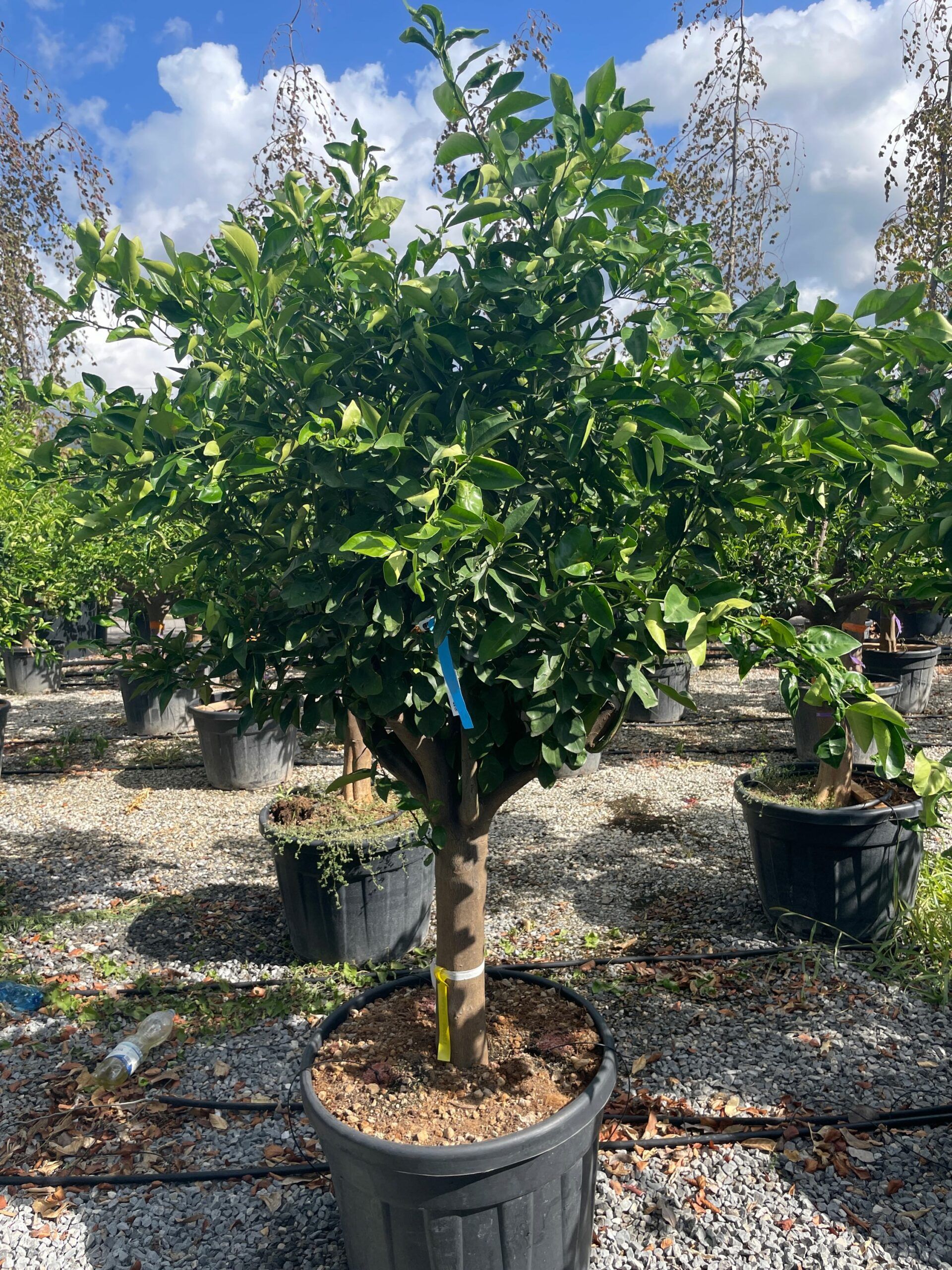 1662712811 scaled 3d58d25a