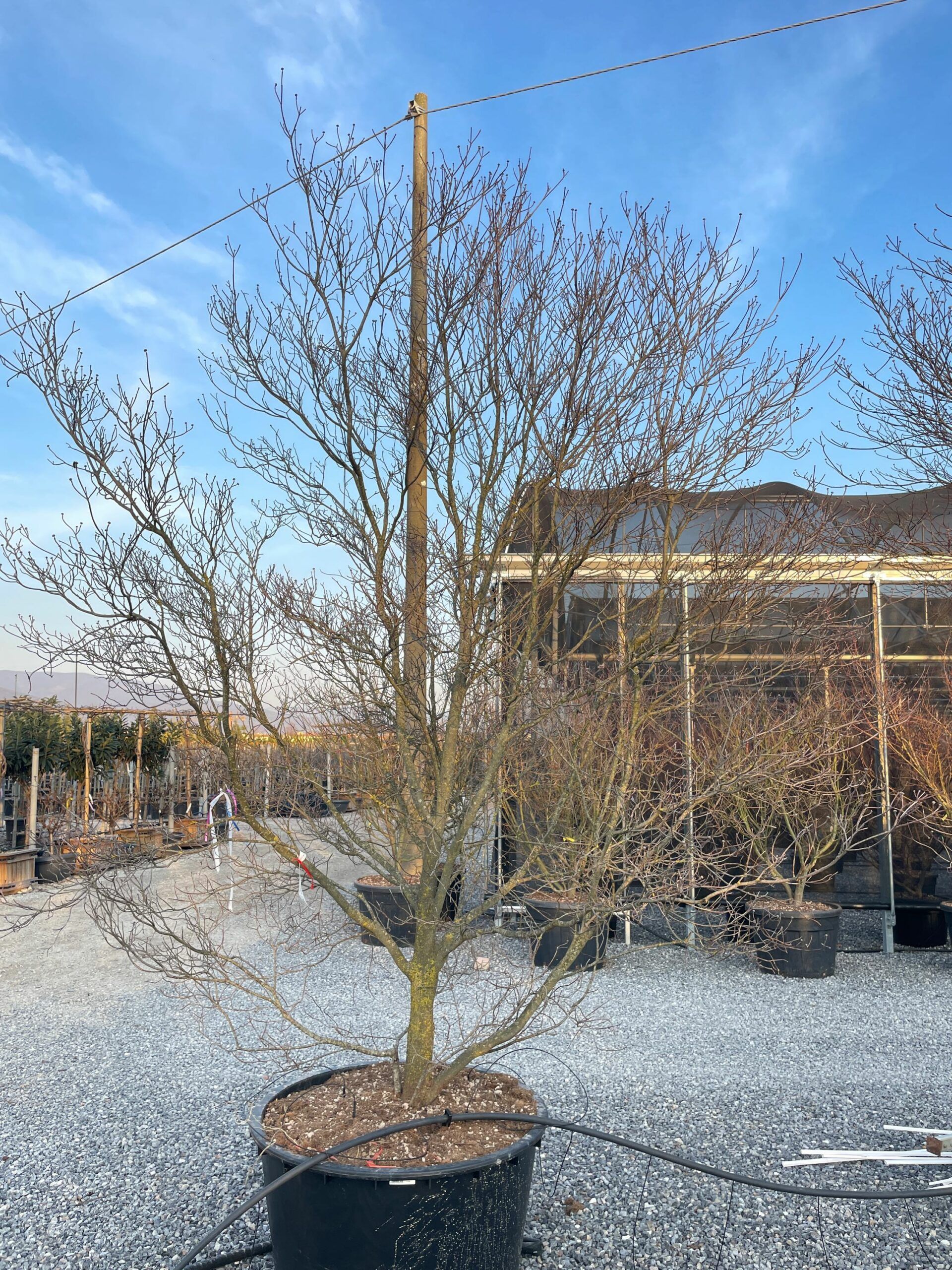 1676909833 scaled 3d34203e