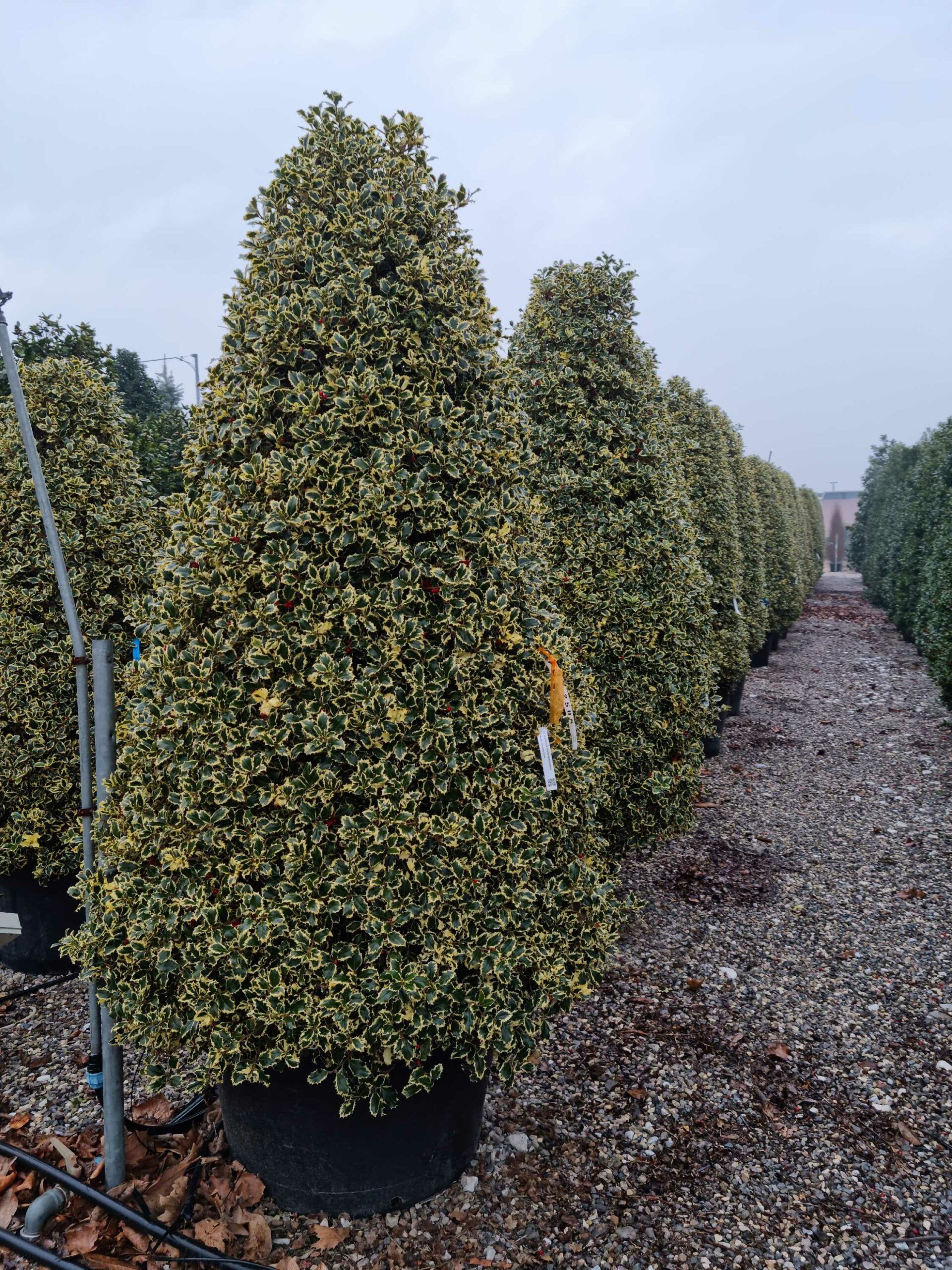 1677830939 scaled 3d6f04d7