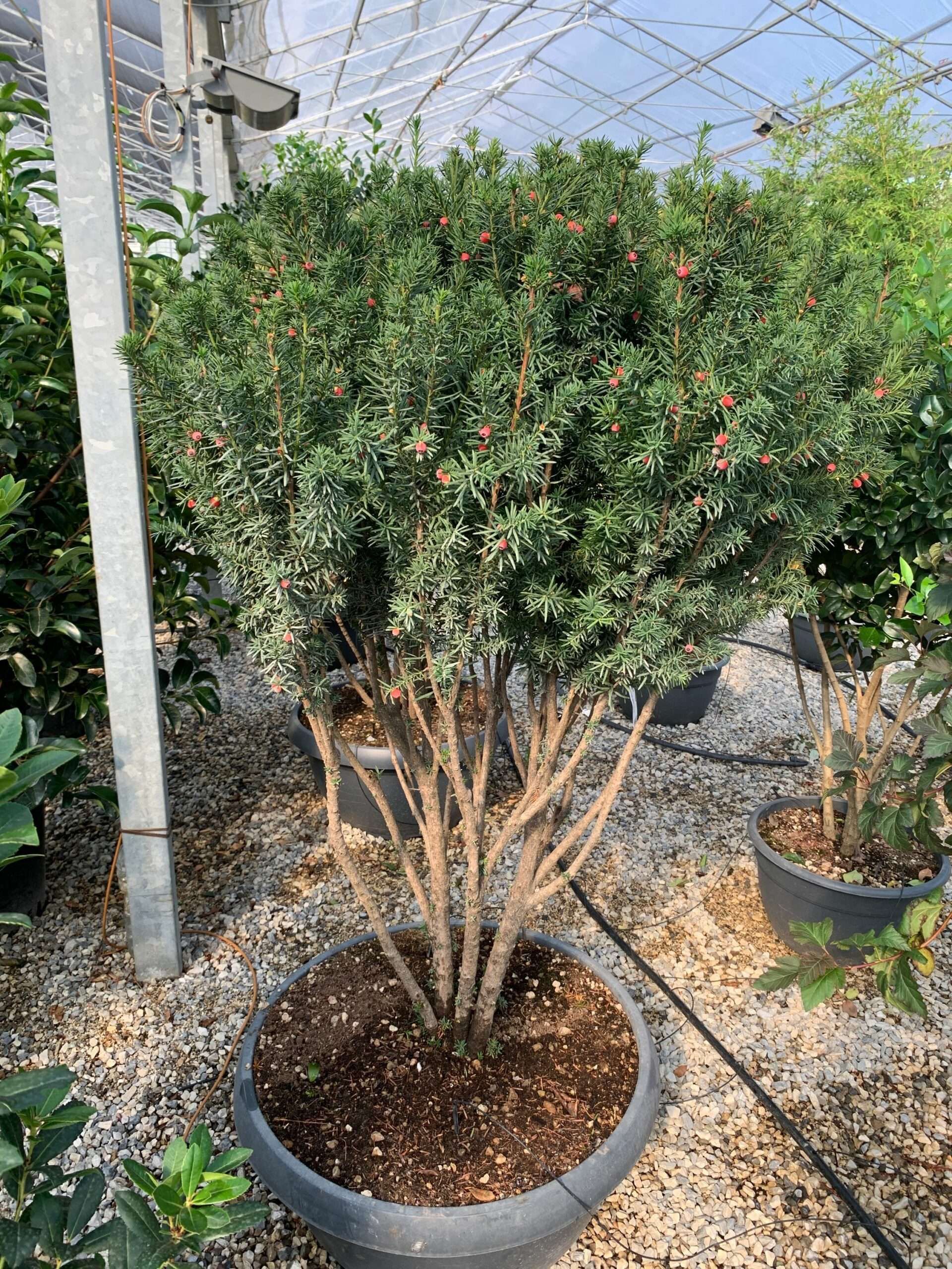 1632834874 scaled 3ea4a712