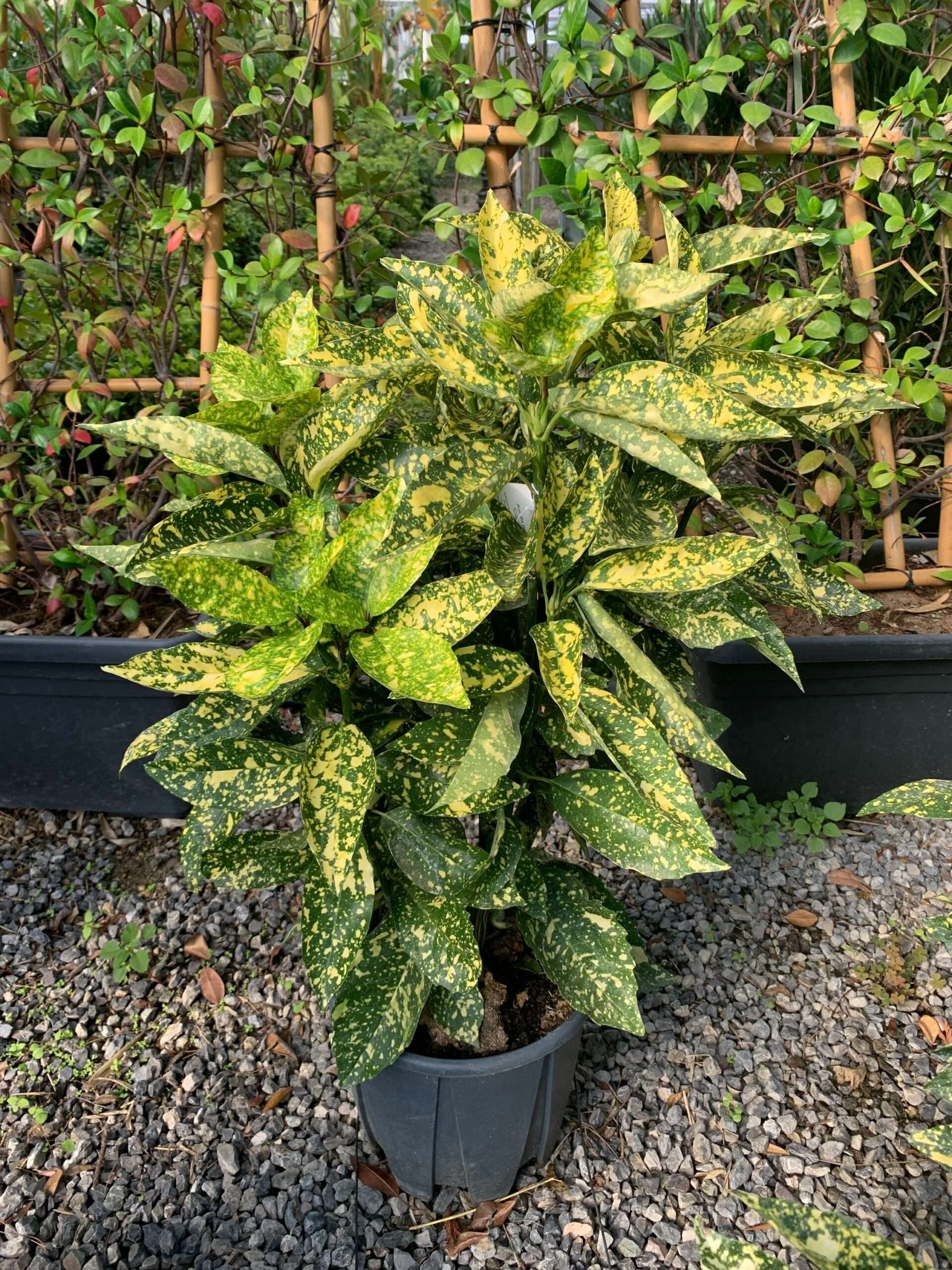 1634633335 scaled 3ea8b28d