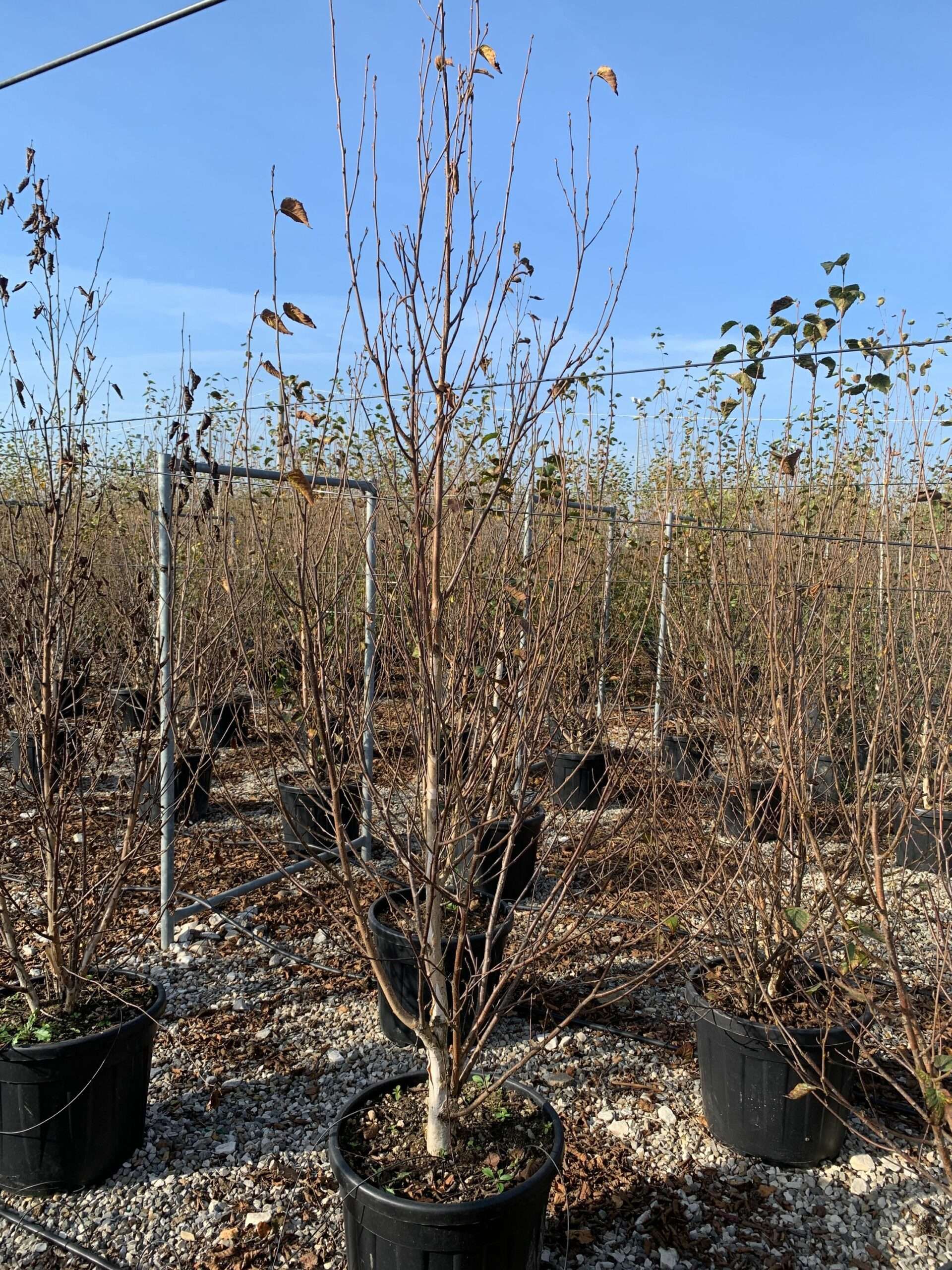 1635496581 scaled 3e9b7949