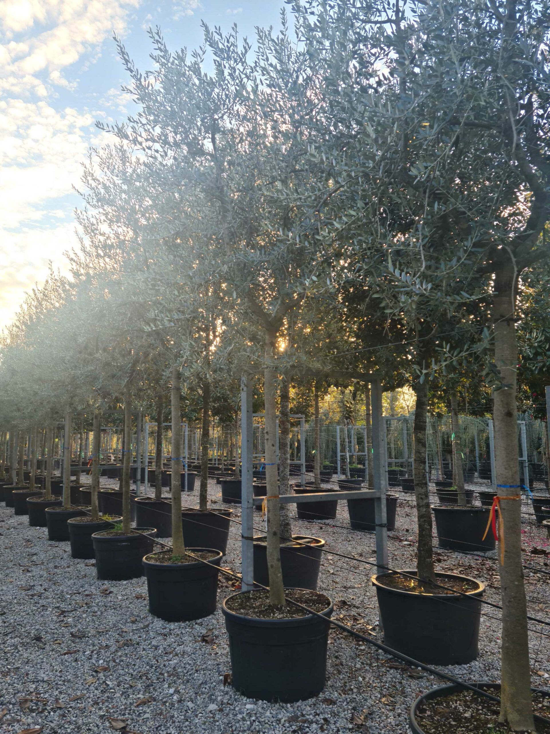 1639406651 scaled 3eeaebea