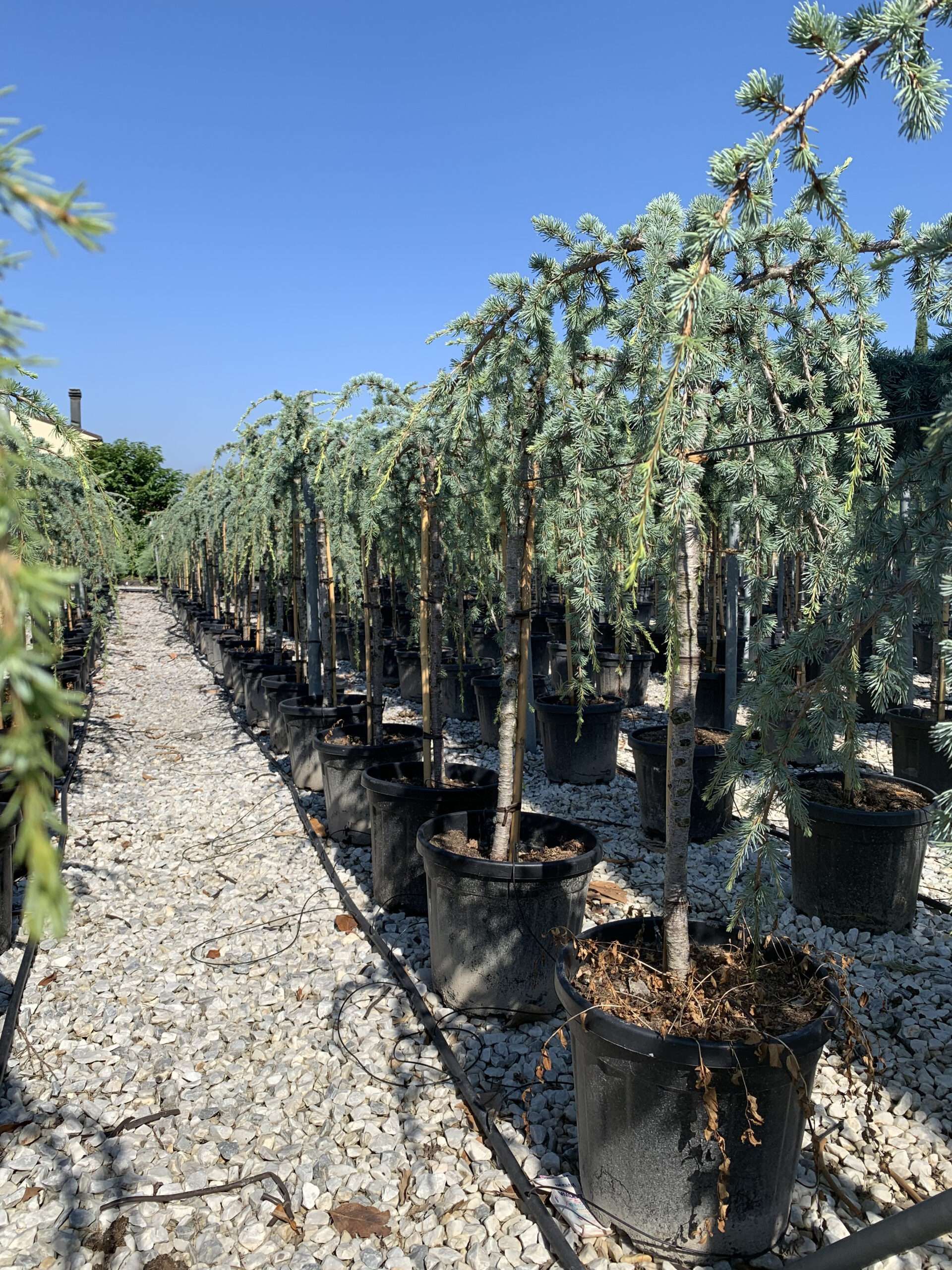 1657872720 scaled 3e51fe7e