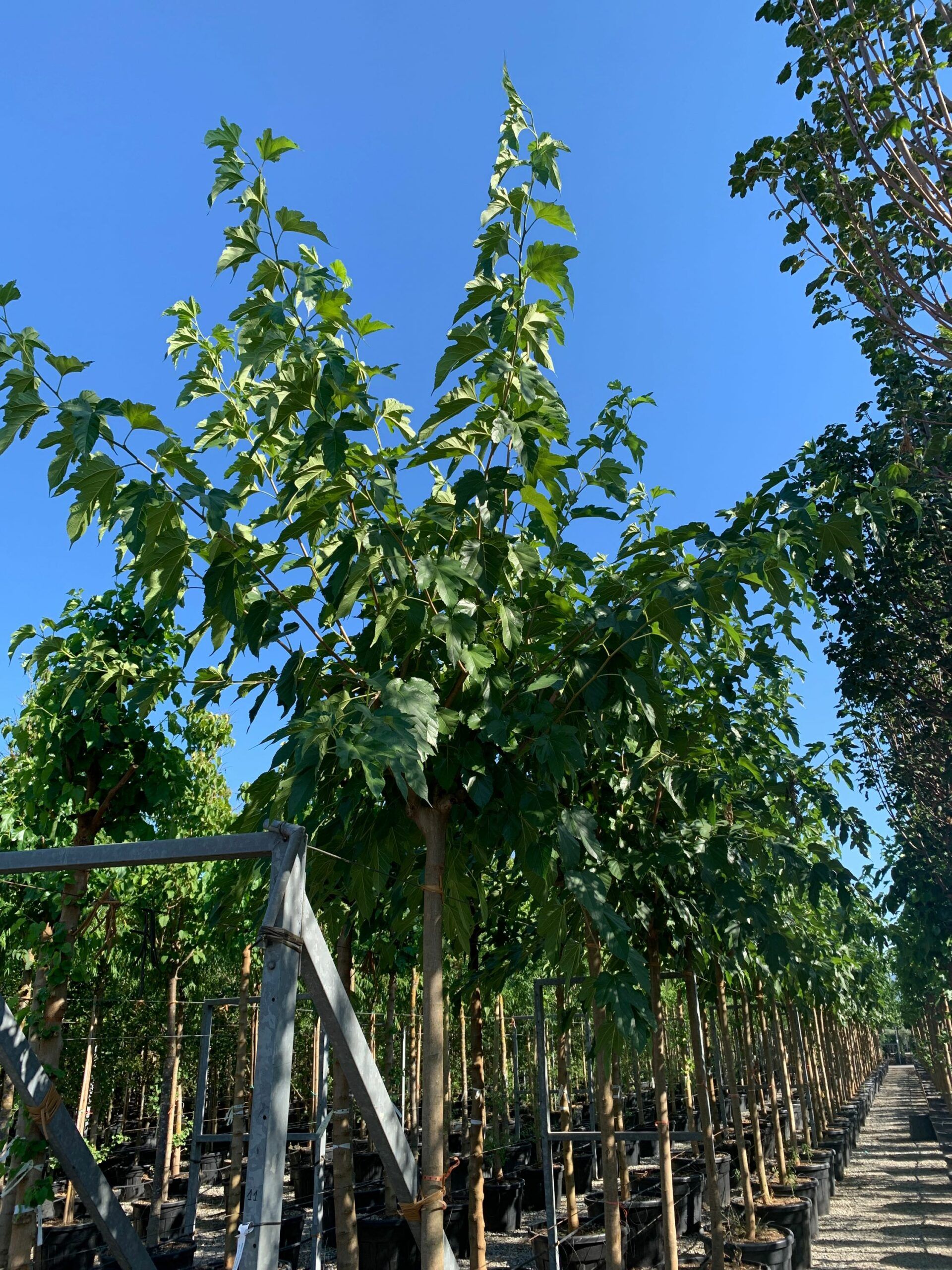 1657899344 scaled 3e103d0d