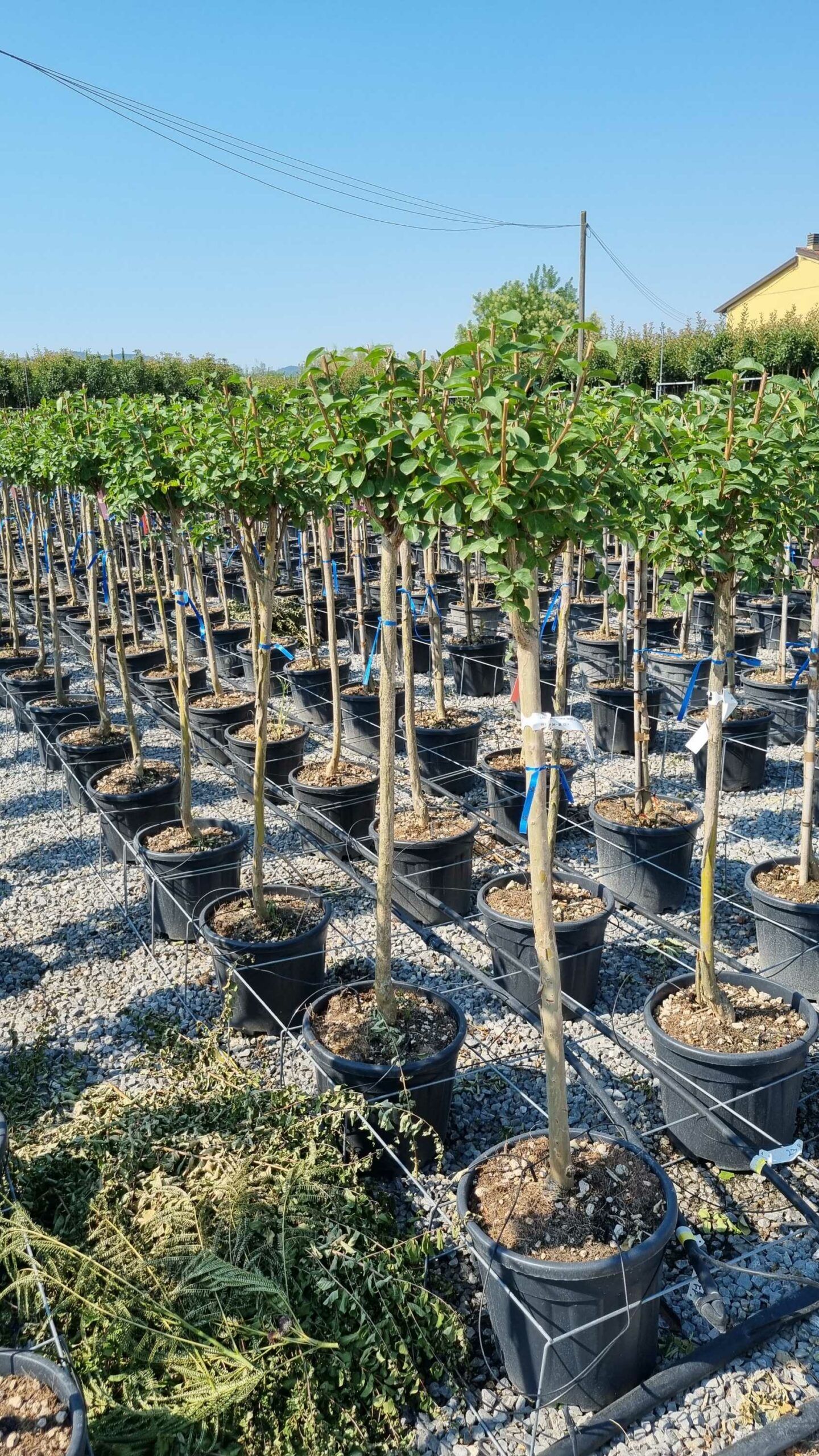 1658131755 scaled 3e1cbe43