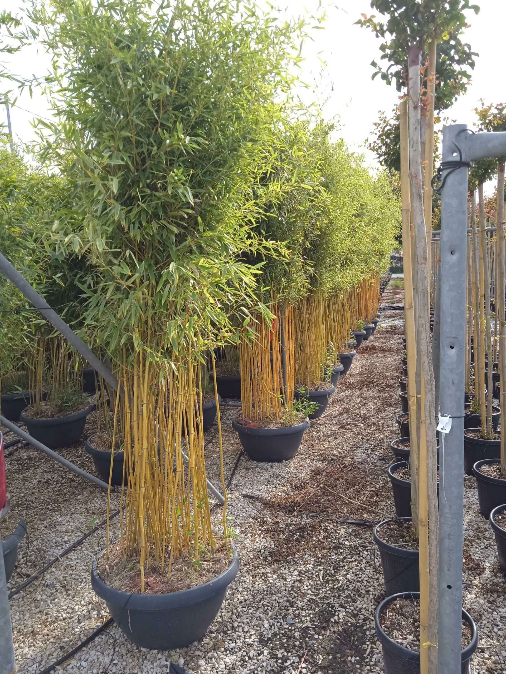 1662018235 scaled 3ee58f84