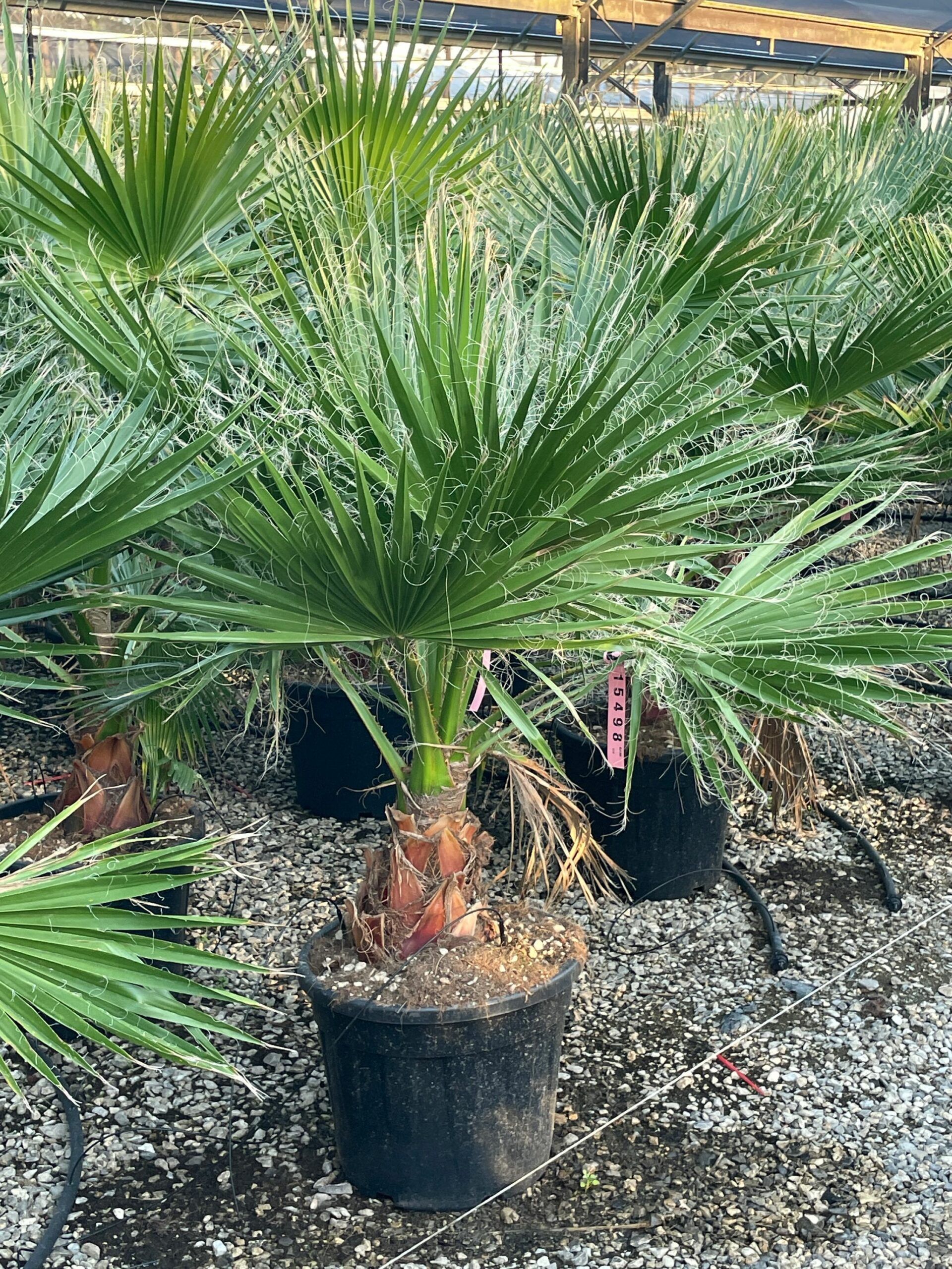 1692724059 scaled 3ec44bd3