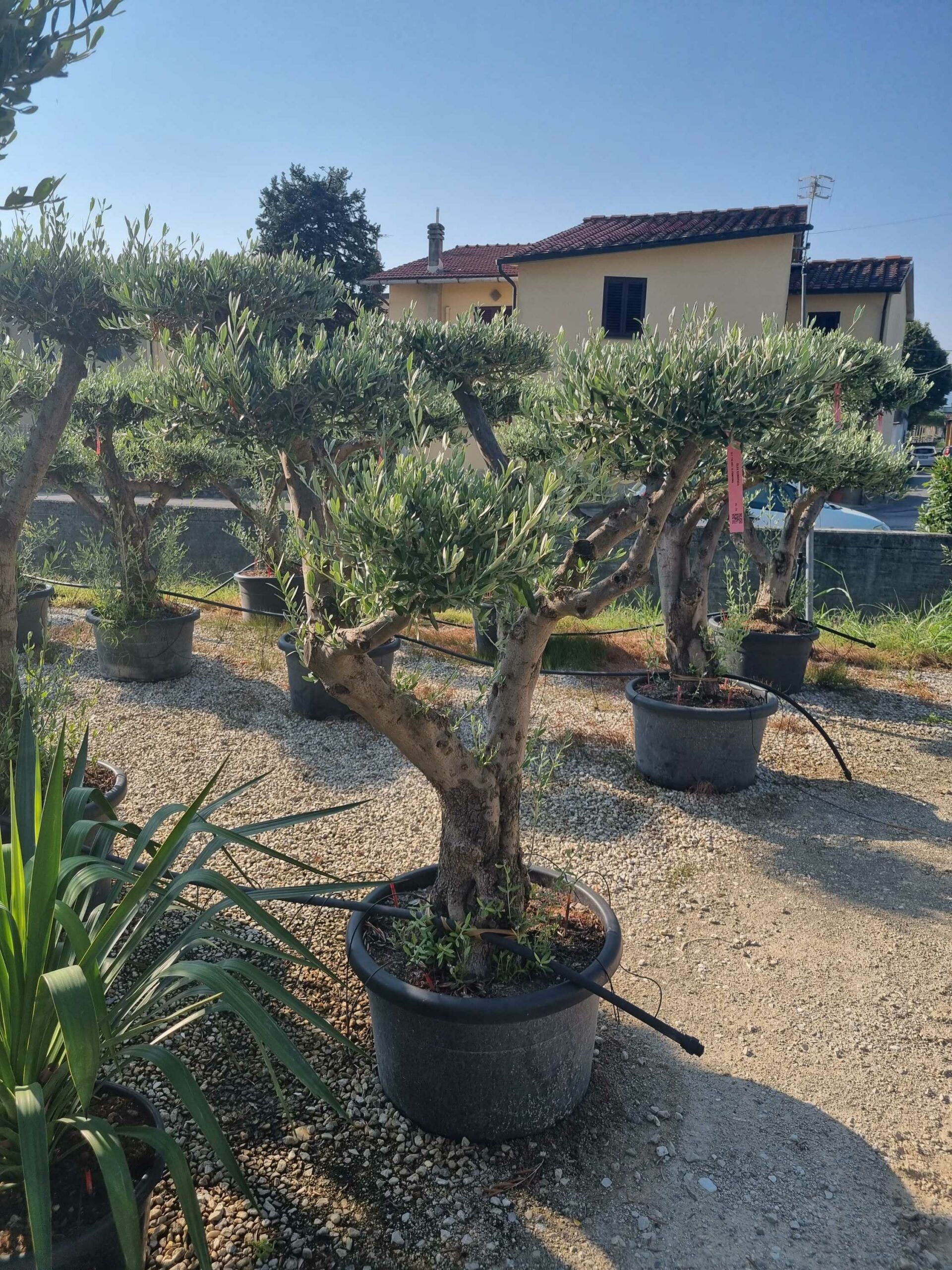 1693034385 scaled 3e2de91a