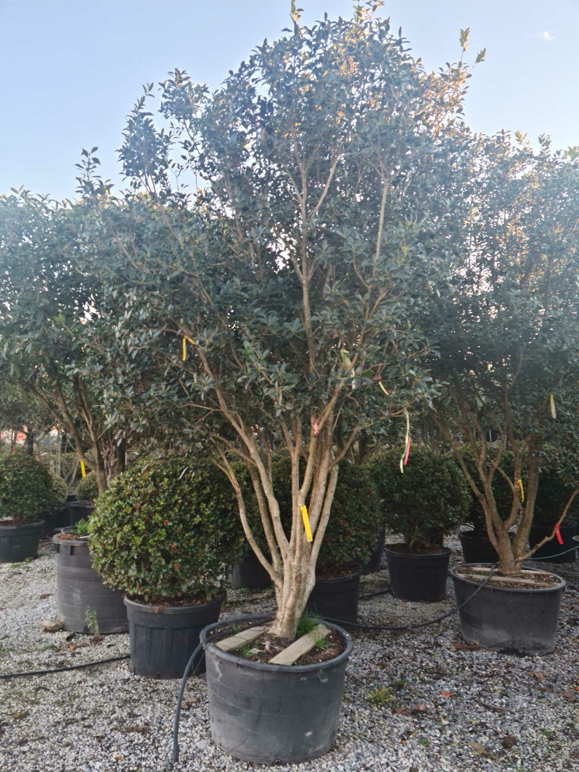 1639407635 scaled 3f0ea3f6