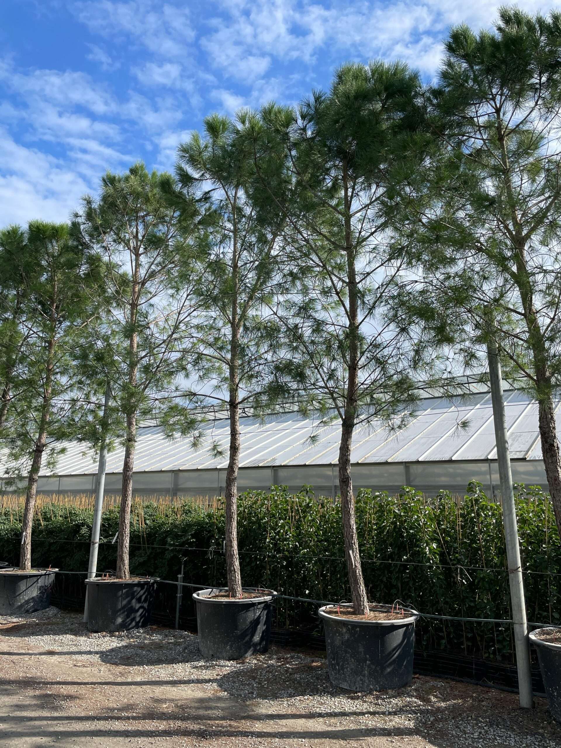 1665305460 scaled 3fa613bf