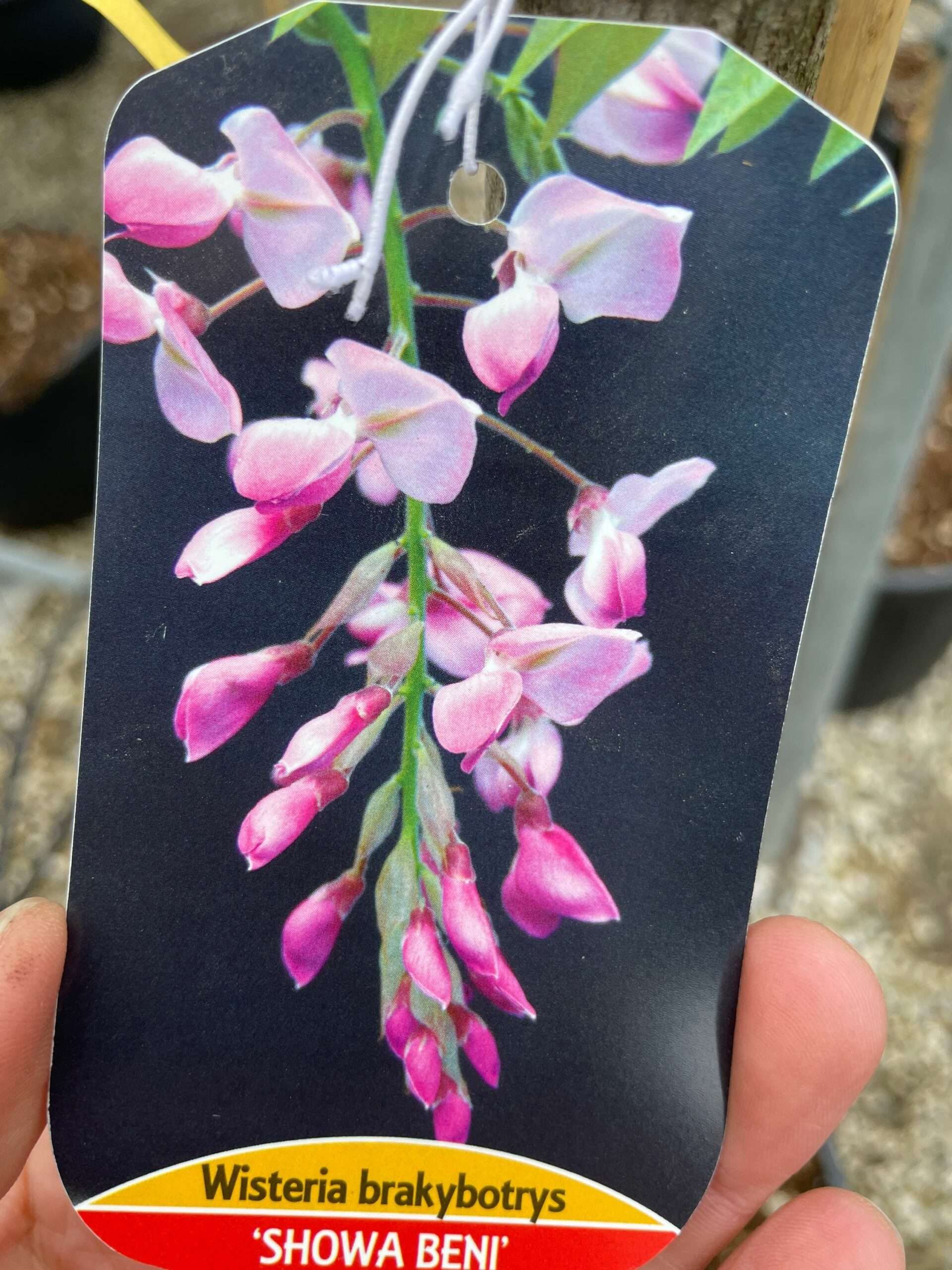 1677840009 scaled 3f32f145