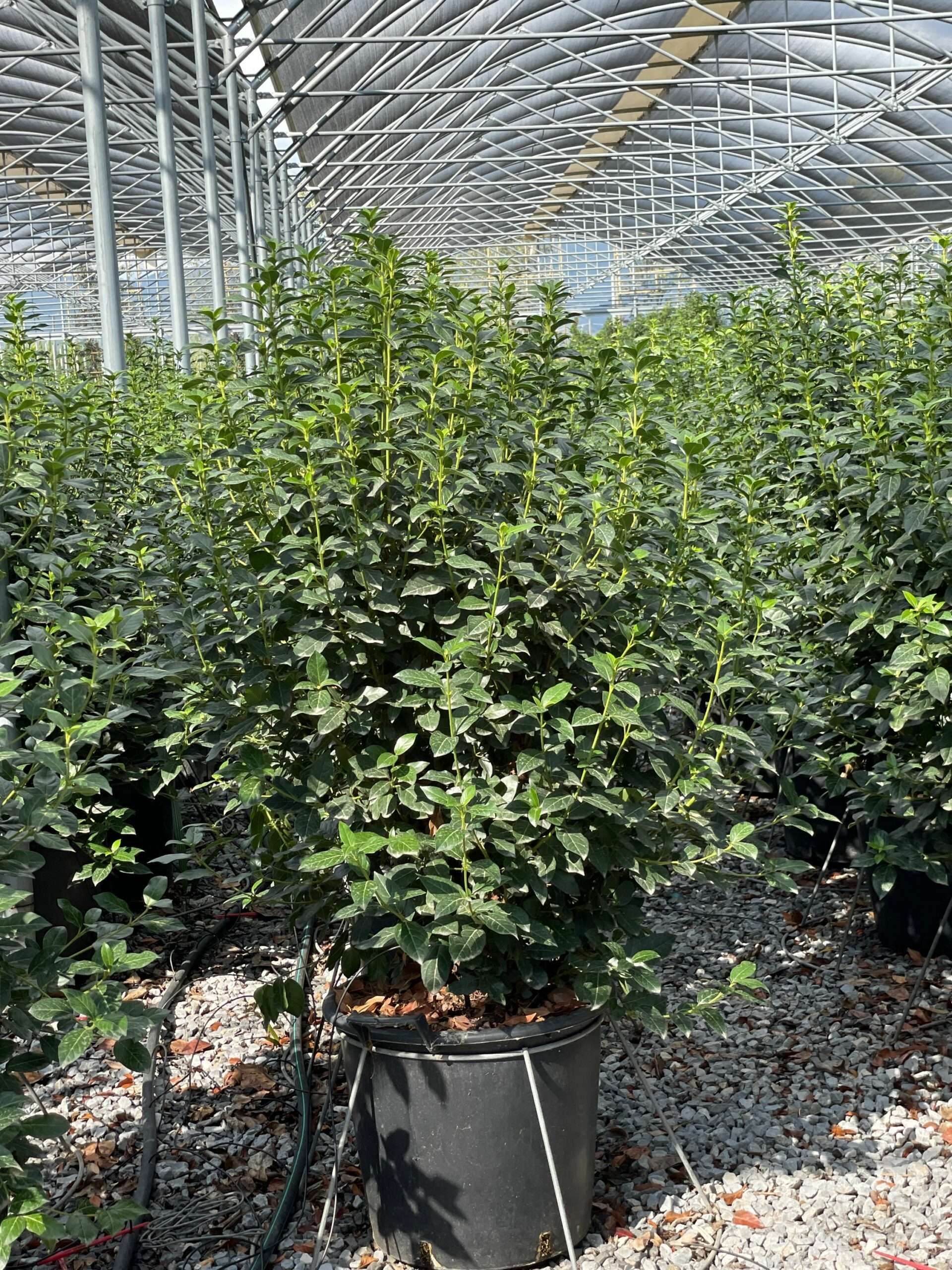 1631970943 scaled 4088b512