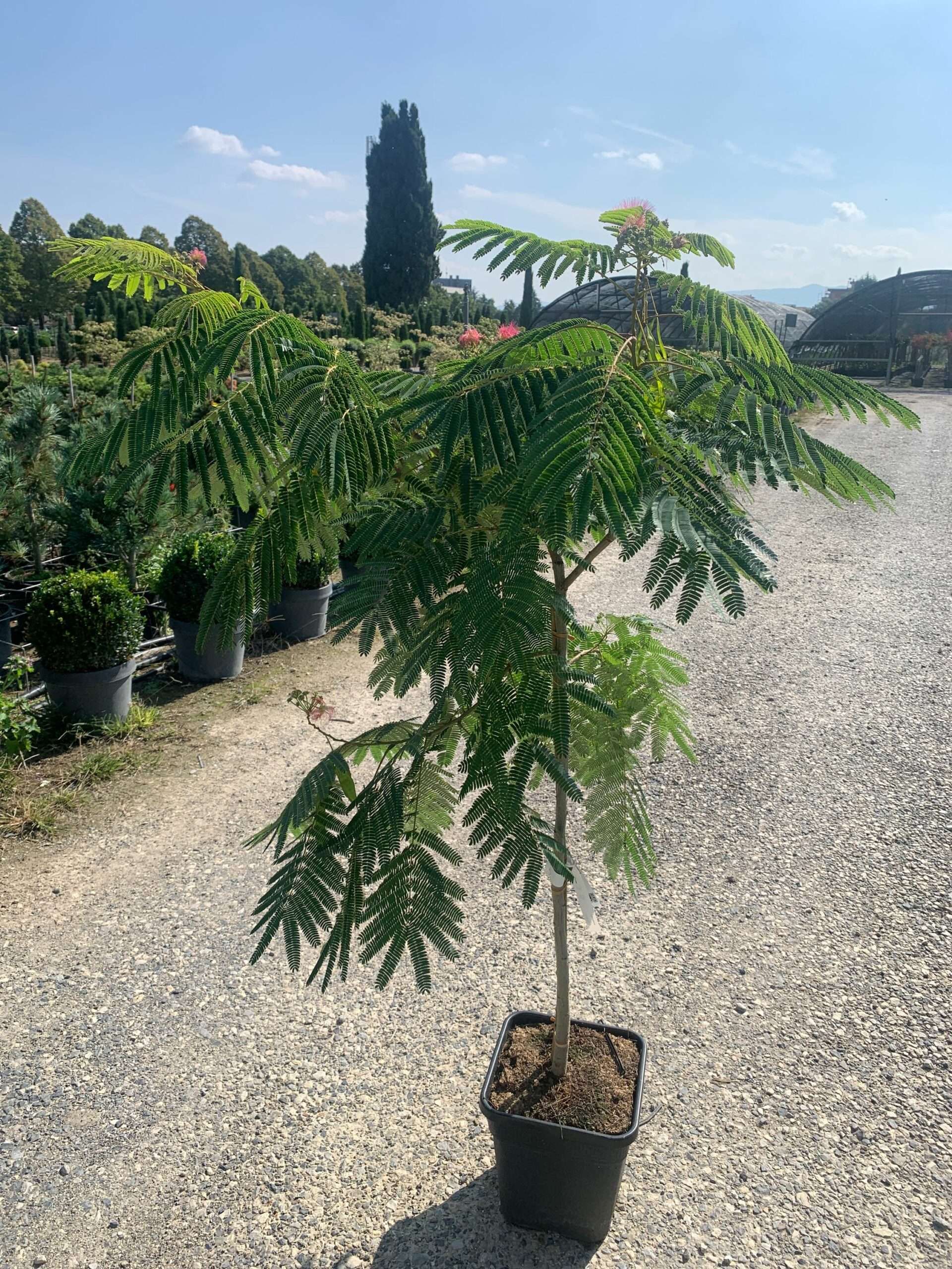 1632916936 scaled 40ec41e3