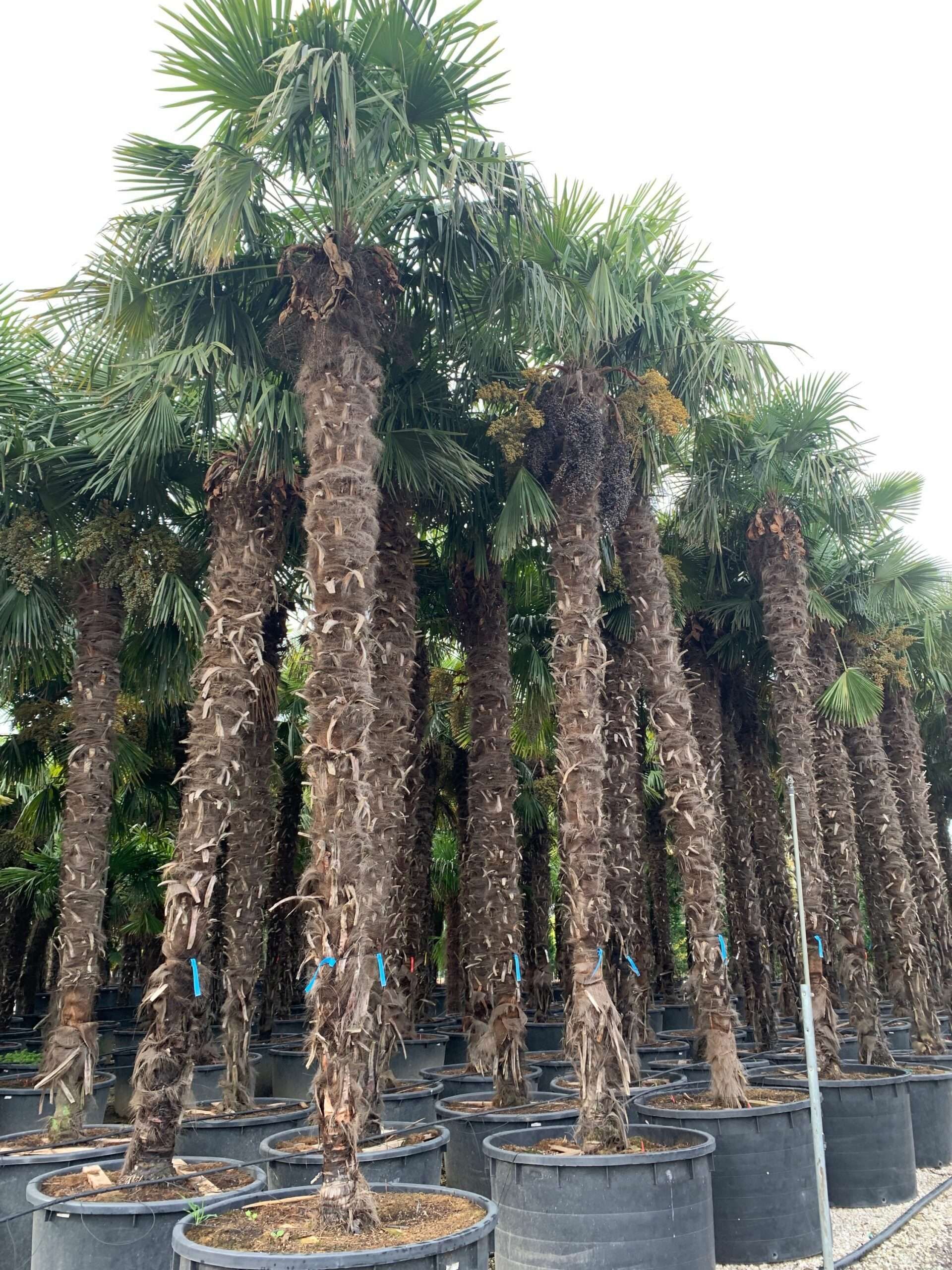 1636101775 scaled 4080474d