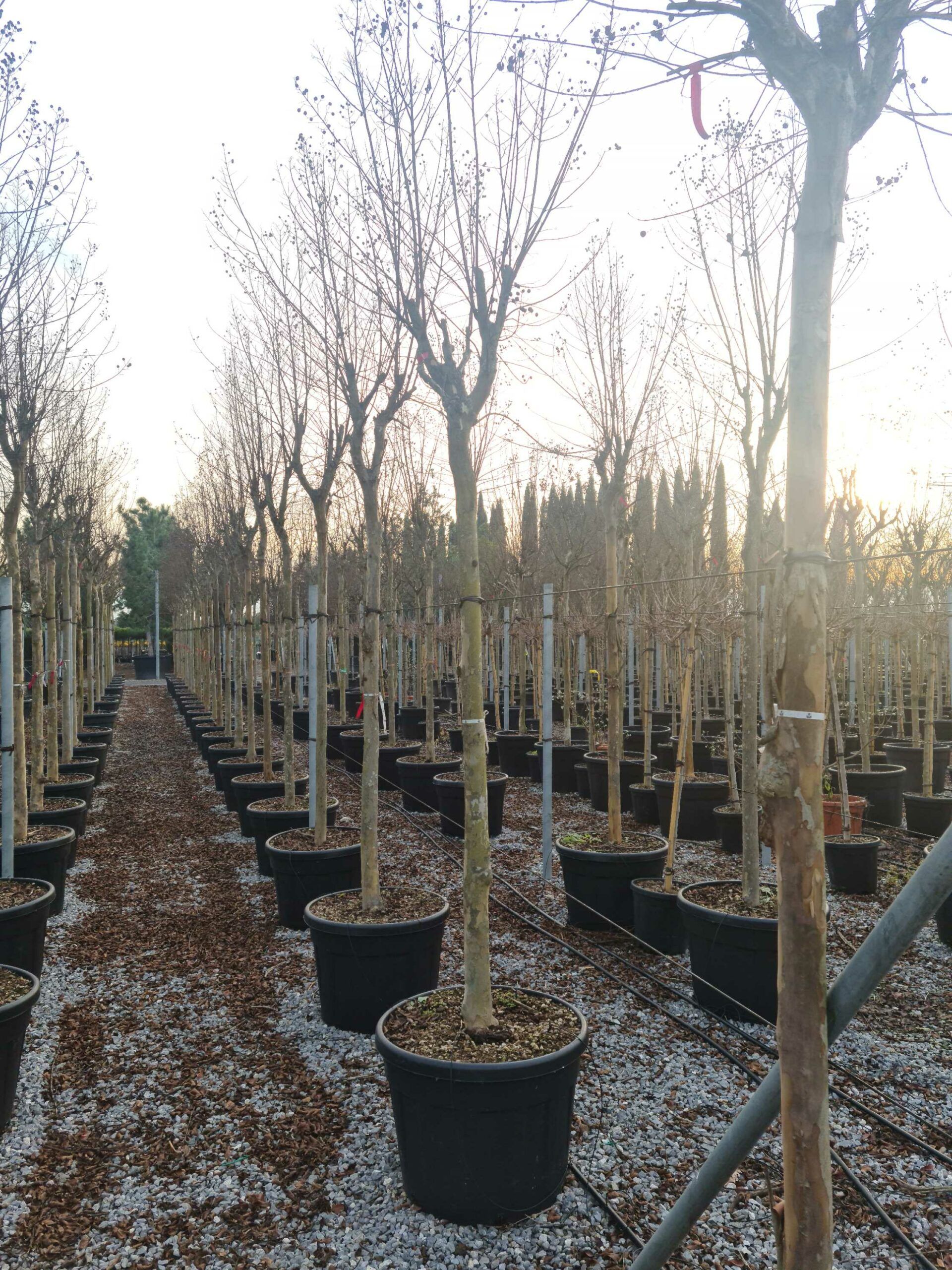 1639492918 scaled 40d33c54