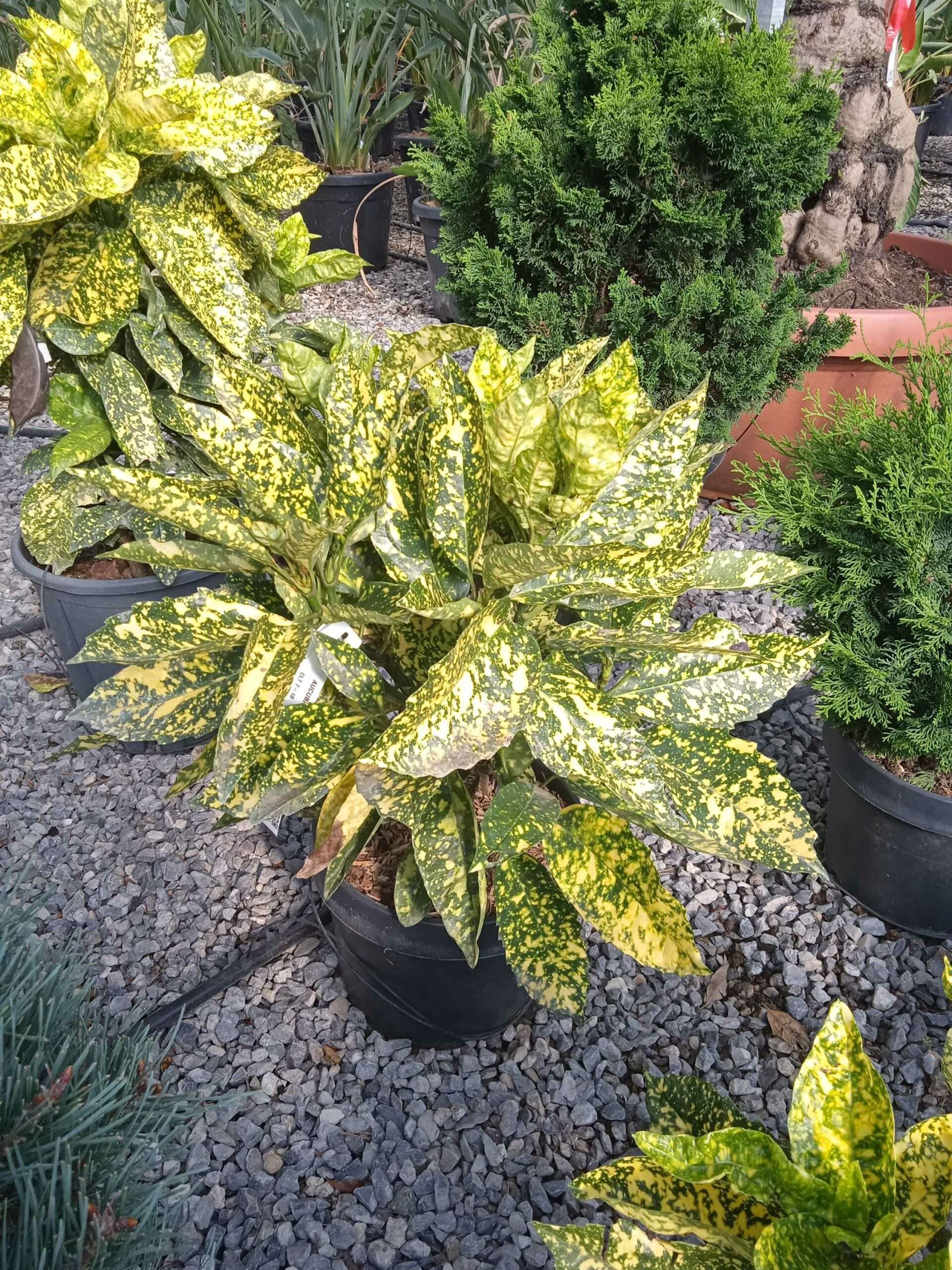 1662450435 scaled 40ad3101