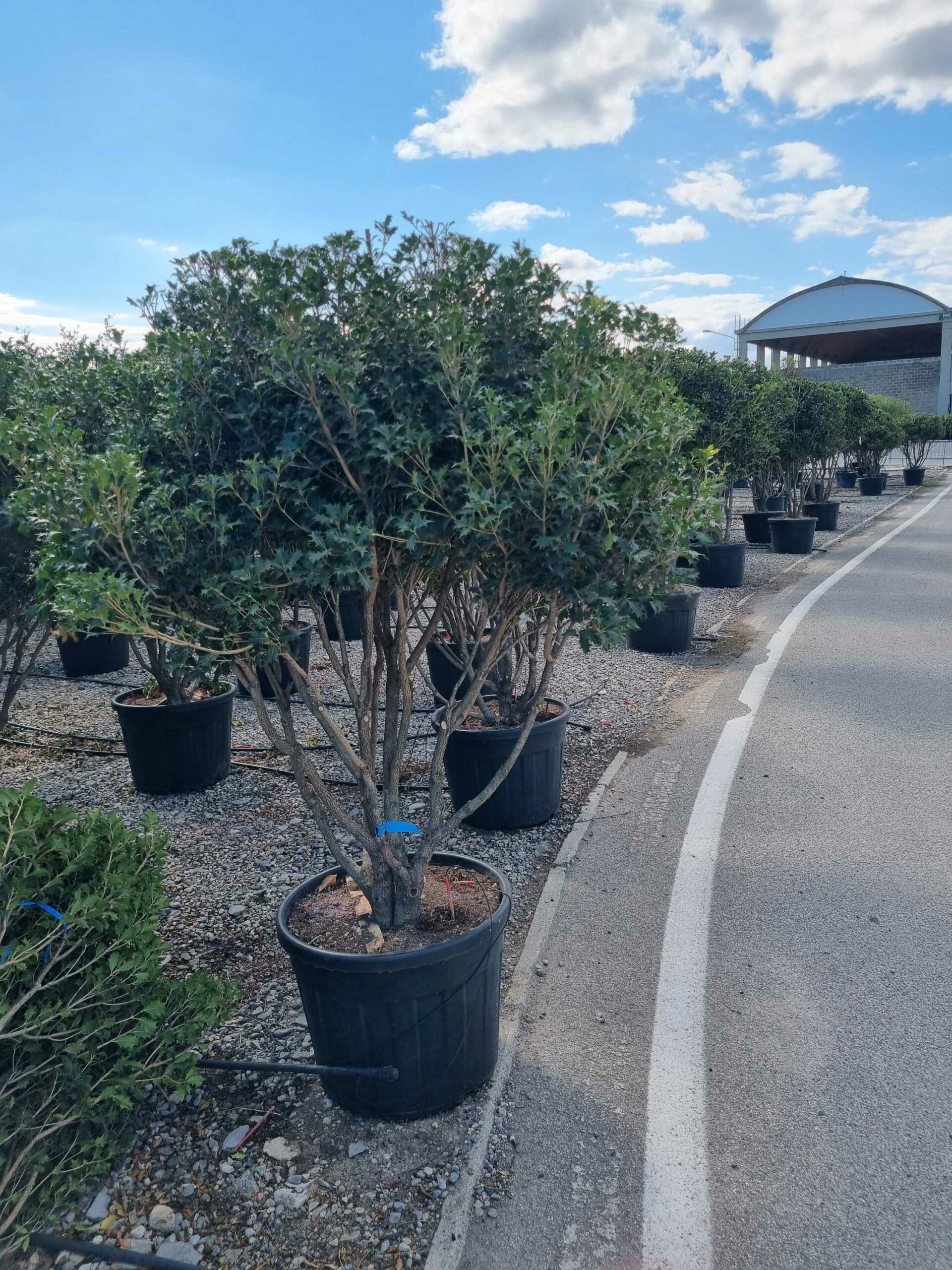 1663764416 scaled 407690e6