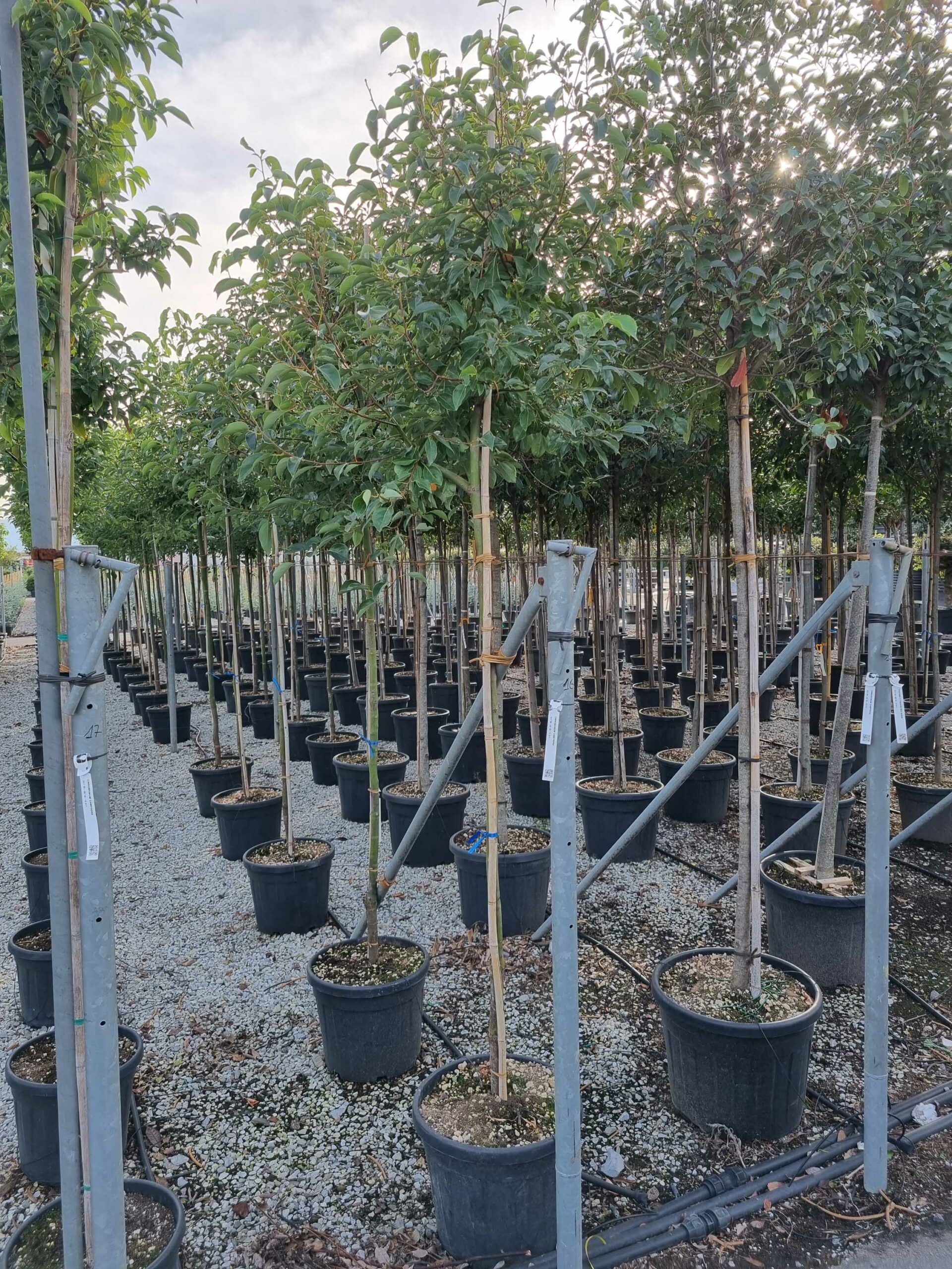 1666275444 scaled 40463214